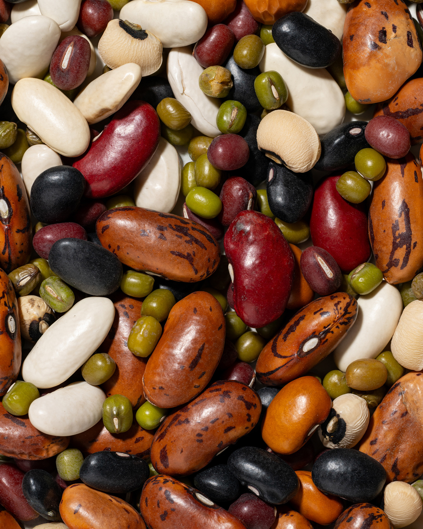 Frutta Secca Sorrentino - Fagiolata Mista - Texture