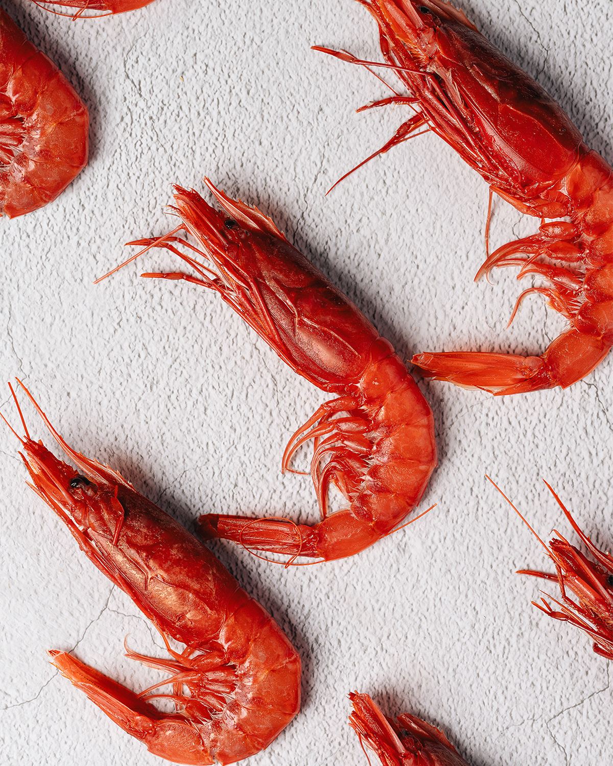 Shooting Food - Vizi di Mare