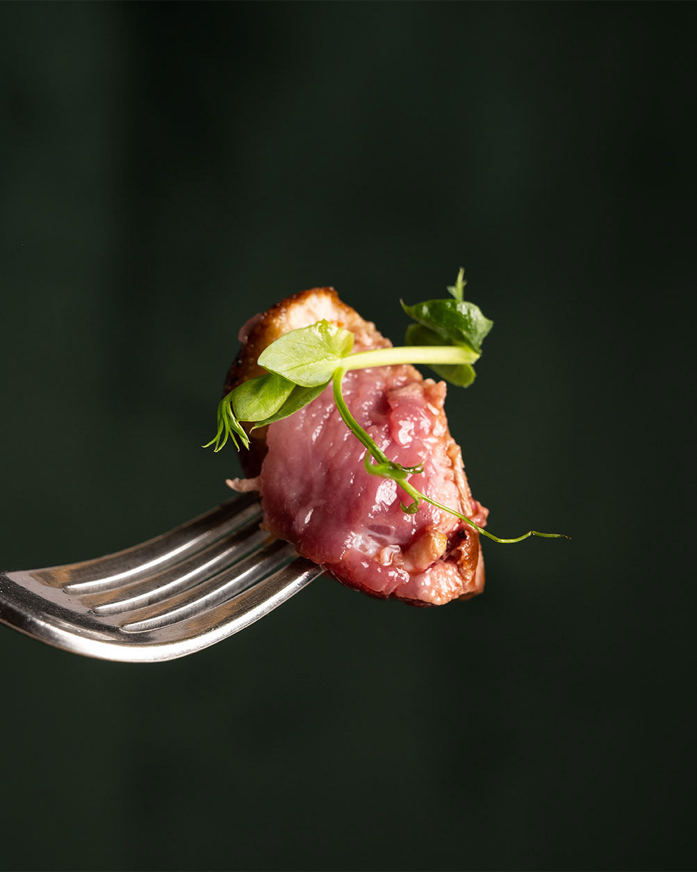 Shooting Food - Moles Lounge Restaurant