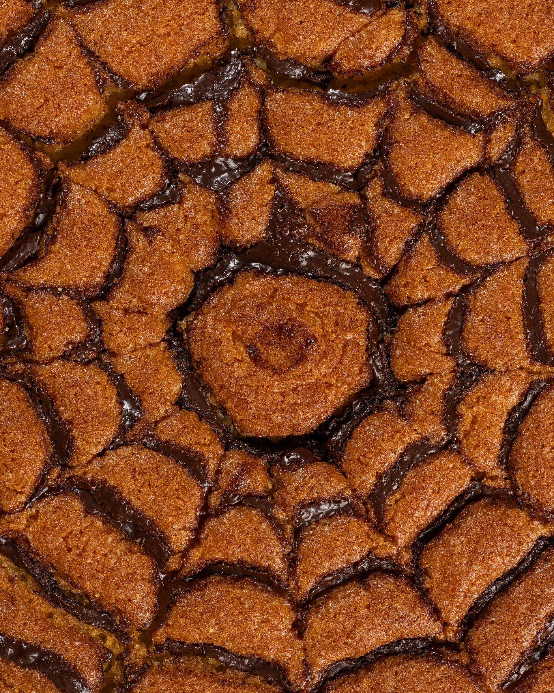 Casa Infante - Texture torta
