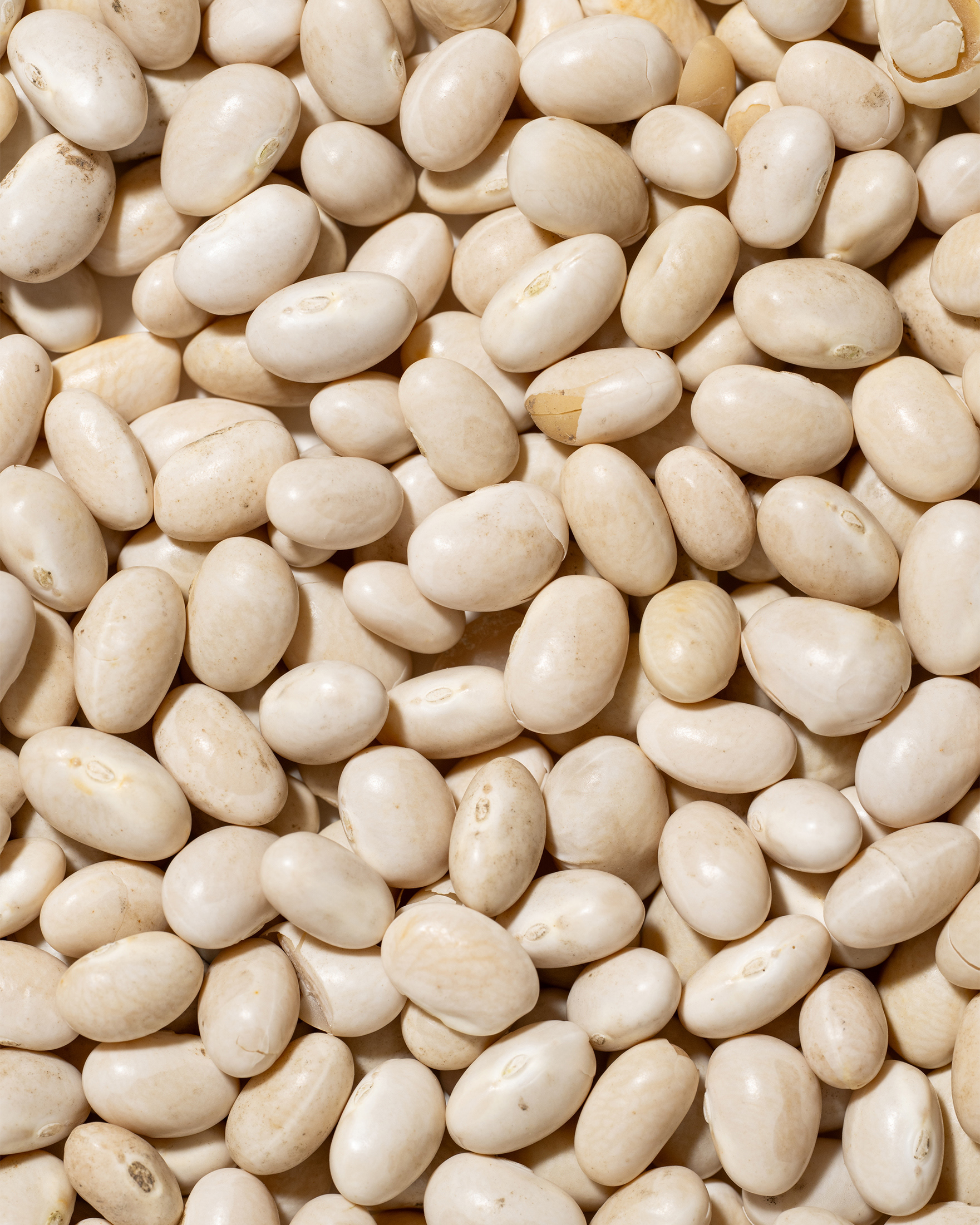 Frutta Secca Sorrentino - Fagioli Tondini - Texture