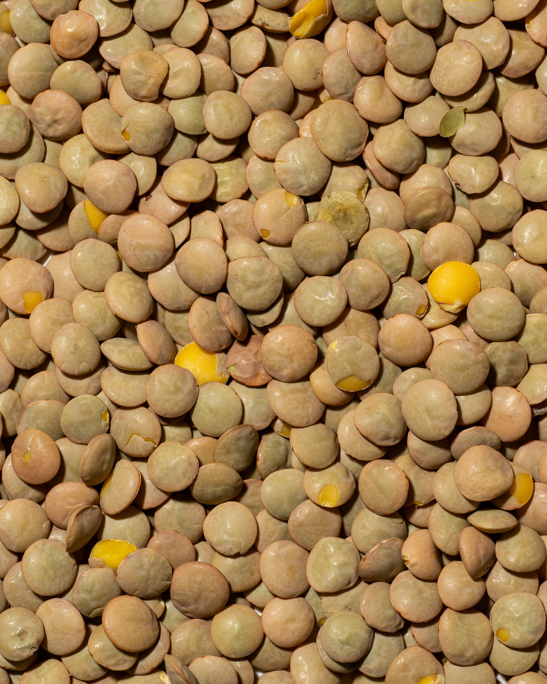 Frutta Secca Sorrentino - Lenticchie Medie - Texture