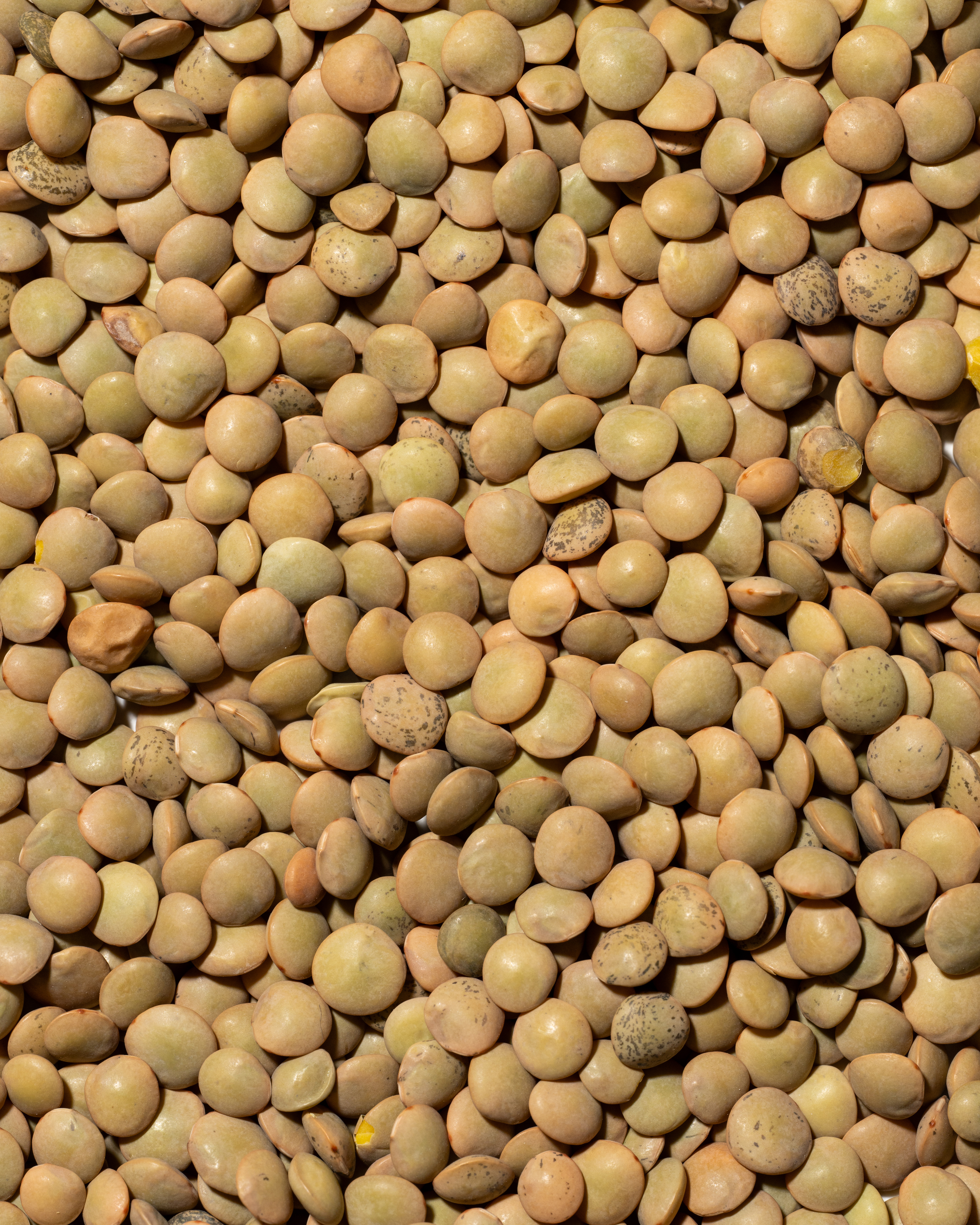 Frutta Secca Sorrentino - Lenticchie Mignon - Texture