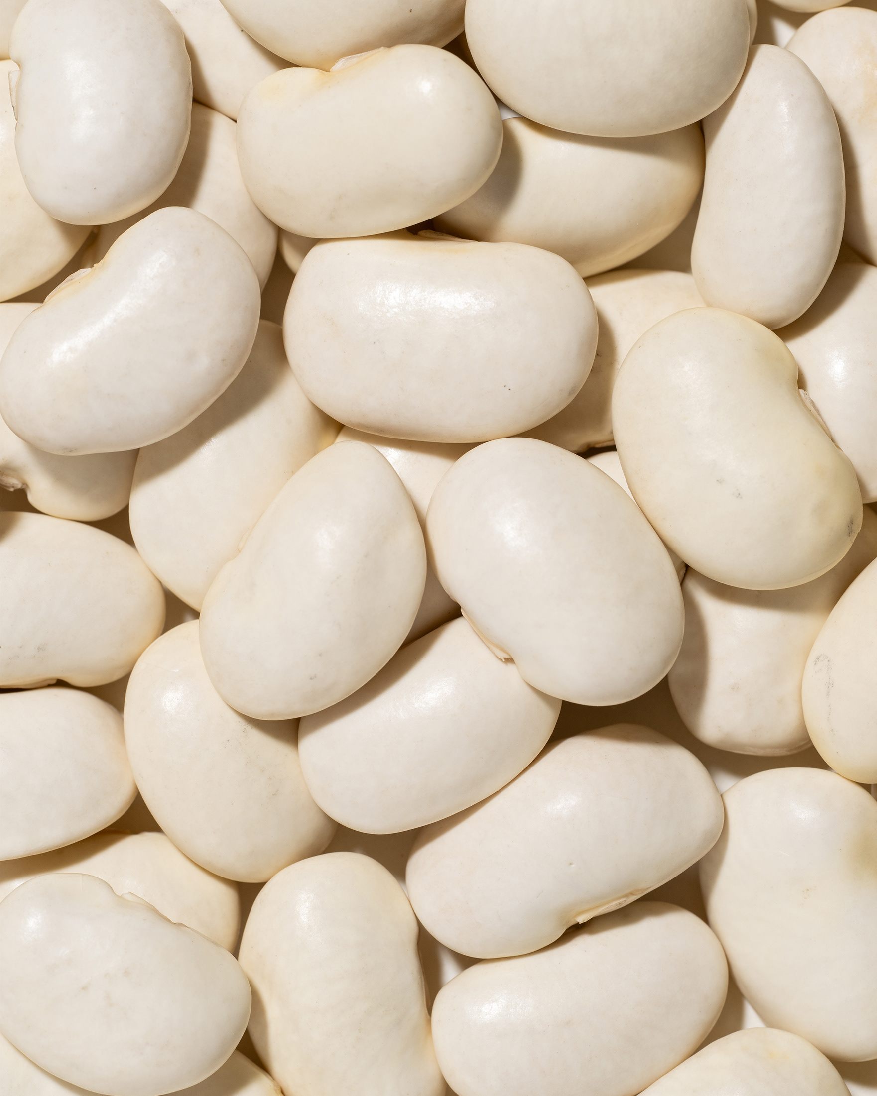 Frutta Secca Sorrentino - Fagioli Bianchi - Texture