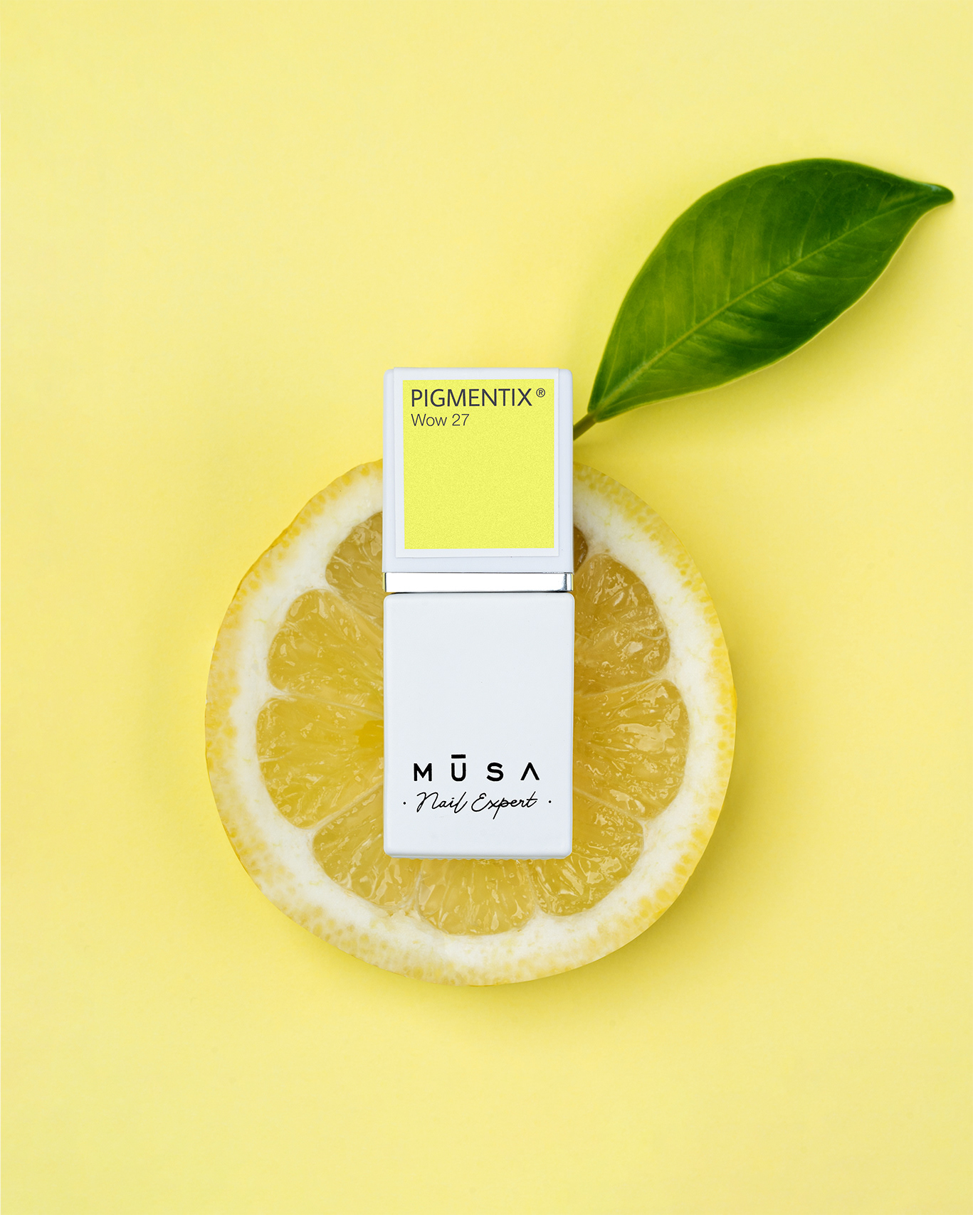 Still Life - Musa Nails Pigmentix Wow 17