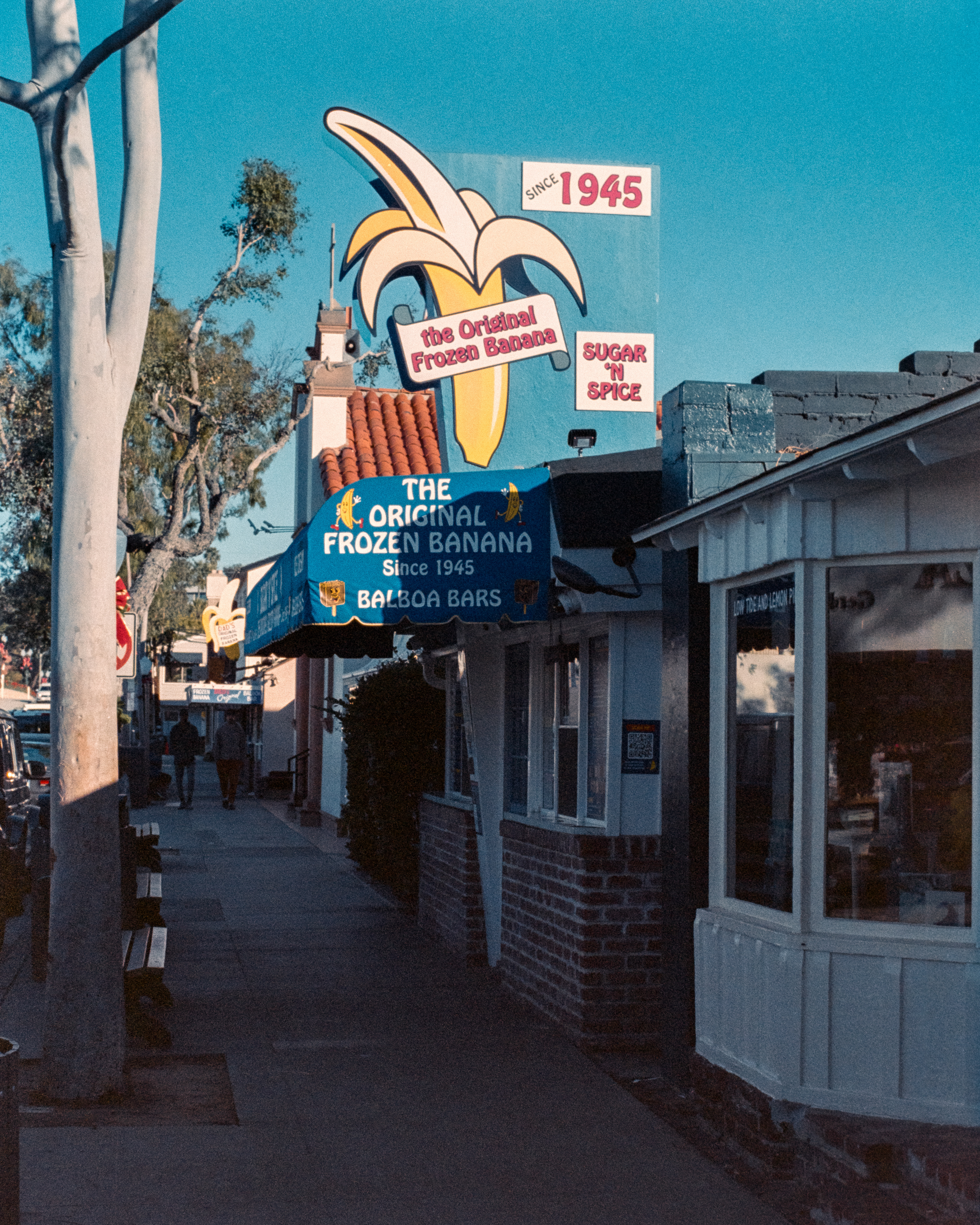 Newport Beach, California - Nikon FM | 50mm F8 | 1/125 | Expired Kodak GC 400