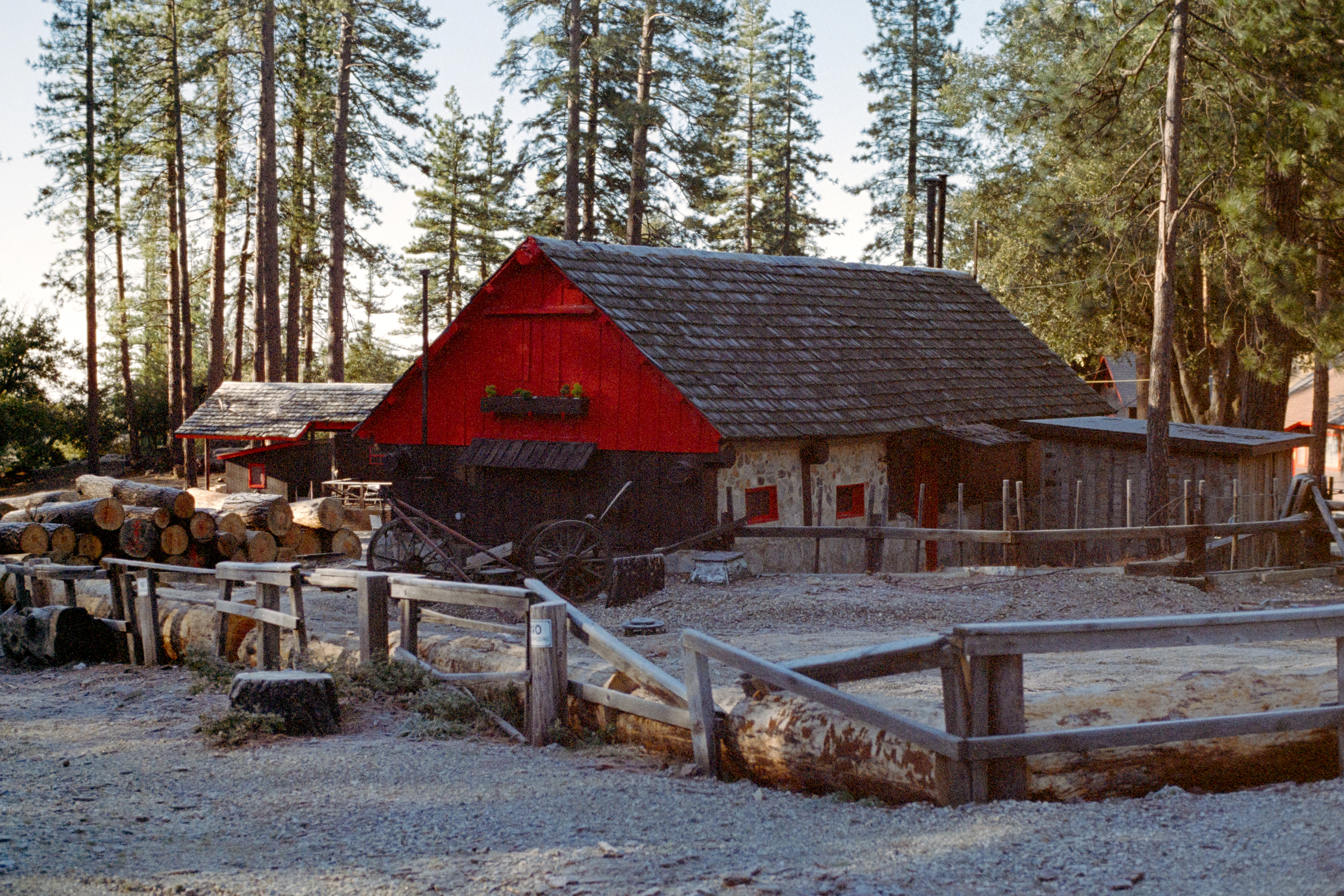 Crystal Lake, California - Nikon F4 | 50mm F2.8 | 1/80 | Expired Kodak Ultramax 400