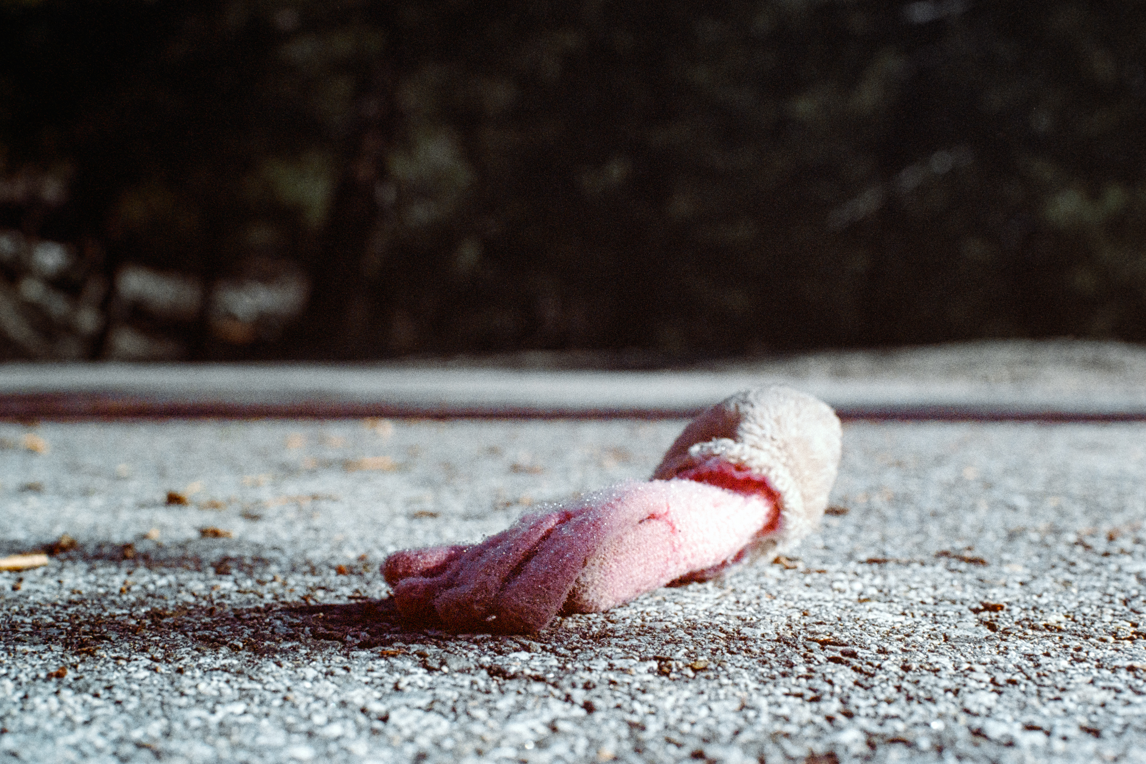 Crystal Lake, California - Nikon F4 | 50mm F8 | 1/125 | Expired Kodak Ultramax 400