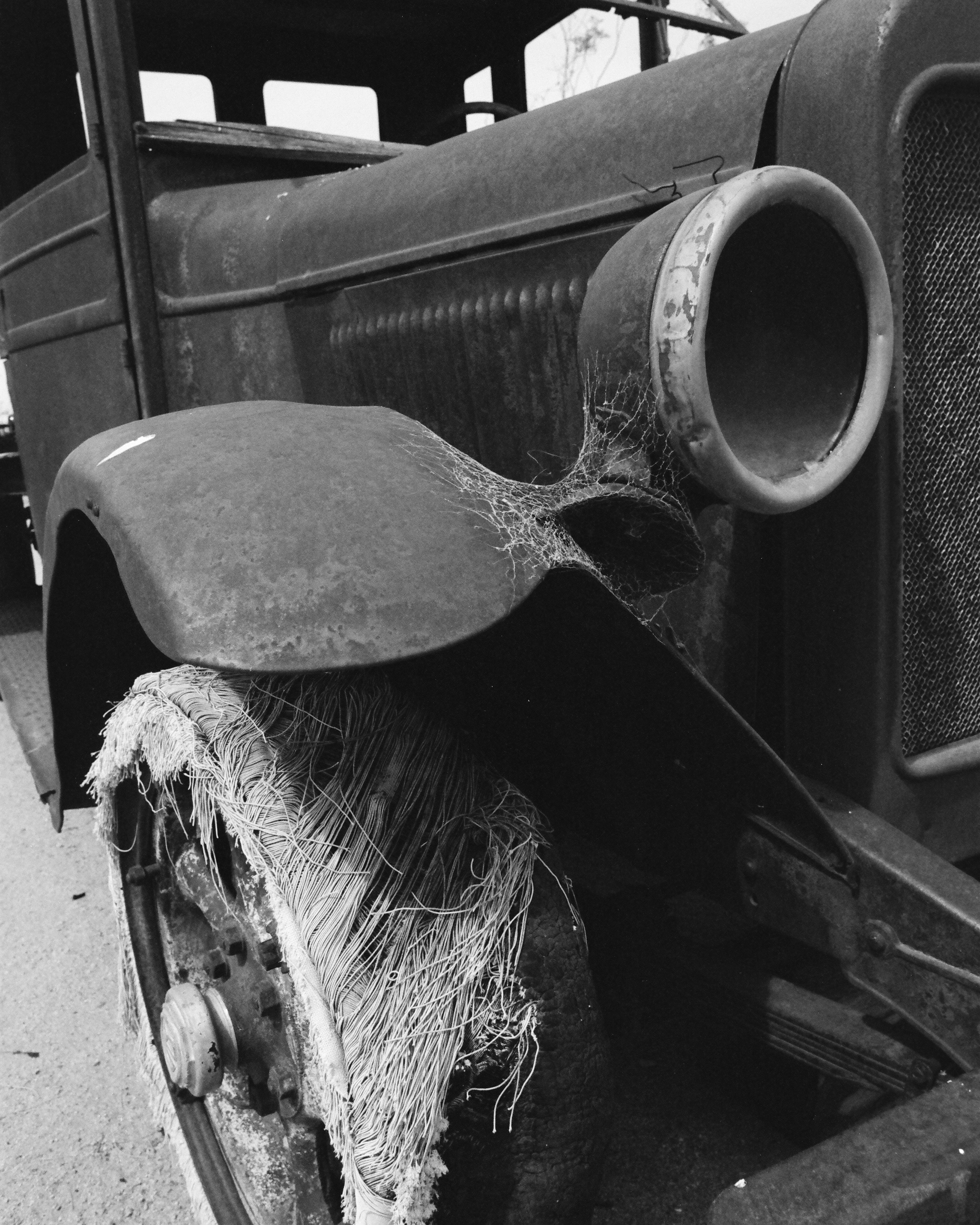 Goffs, California | Nikon FM | Pan F 50