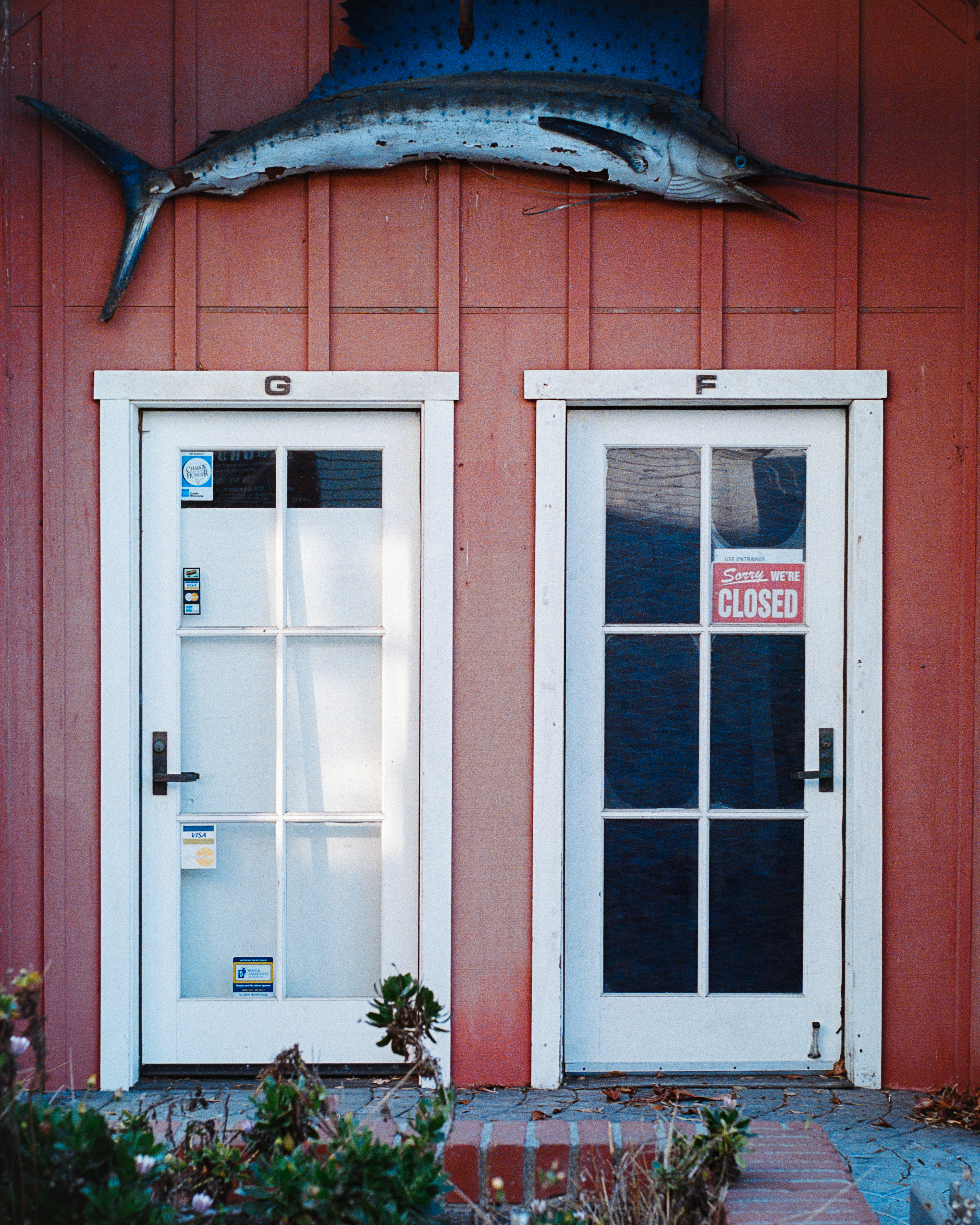 Camarillo, California - Nikon FM | 50mm | F5.6 | 1/250 | Kodak Portra 400