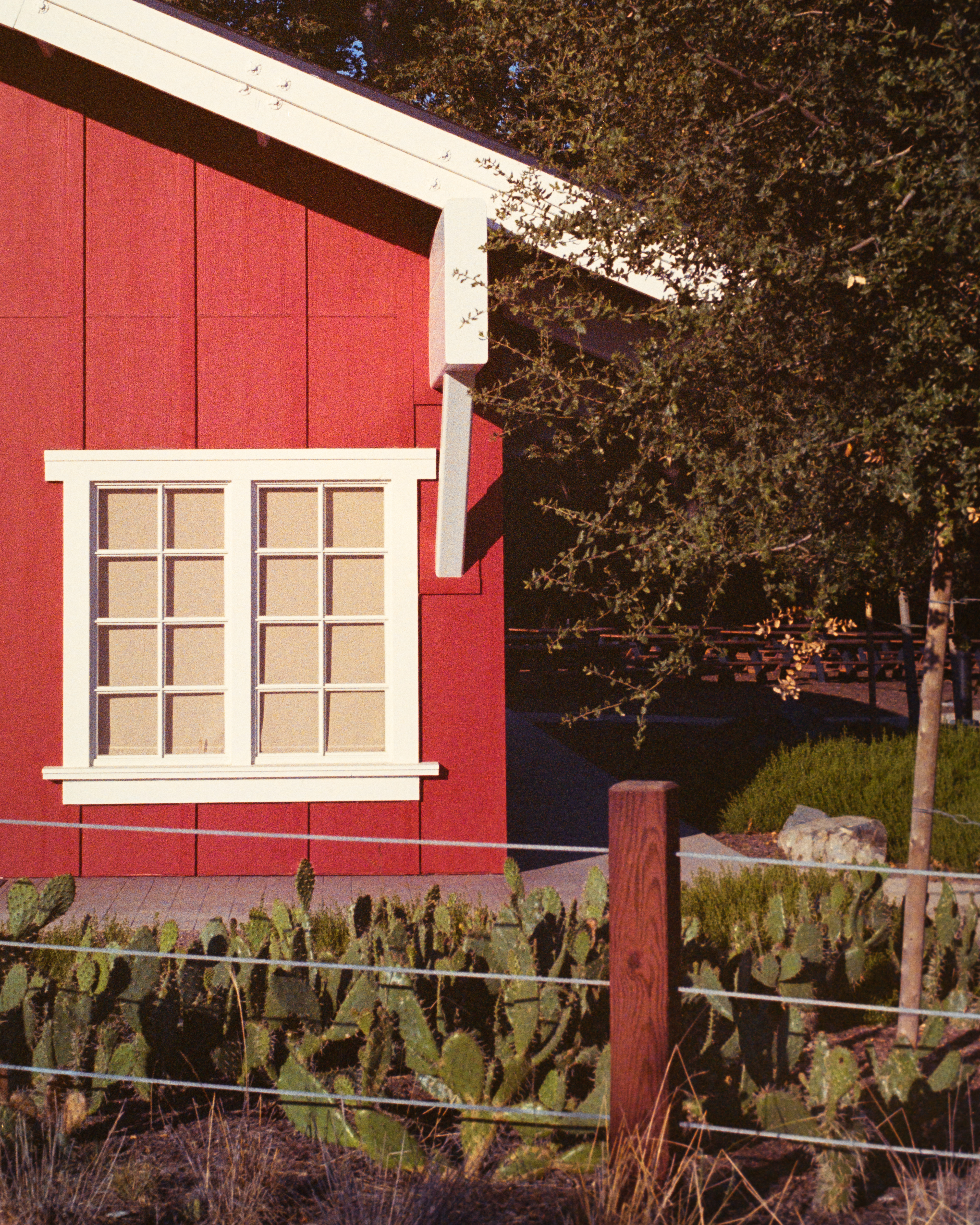 Irvine, California - Nikon F4 | 50mm F8 | 1/350 | Expired Kodak Ultramax 400