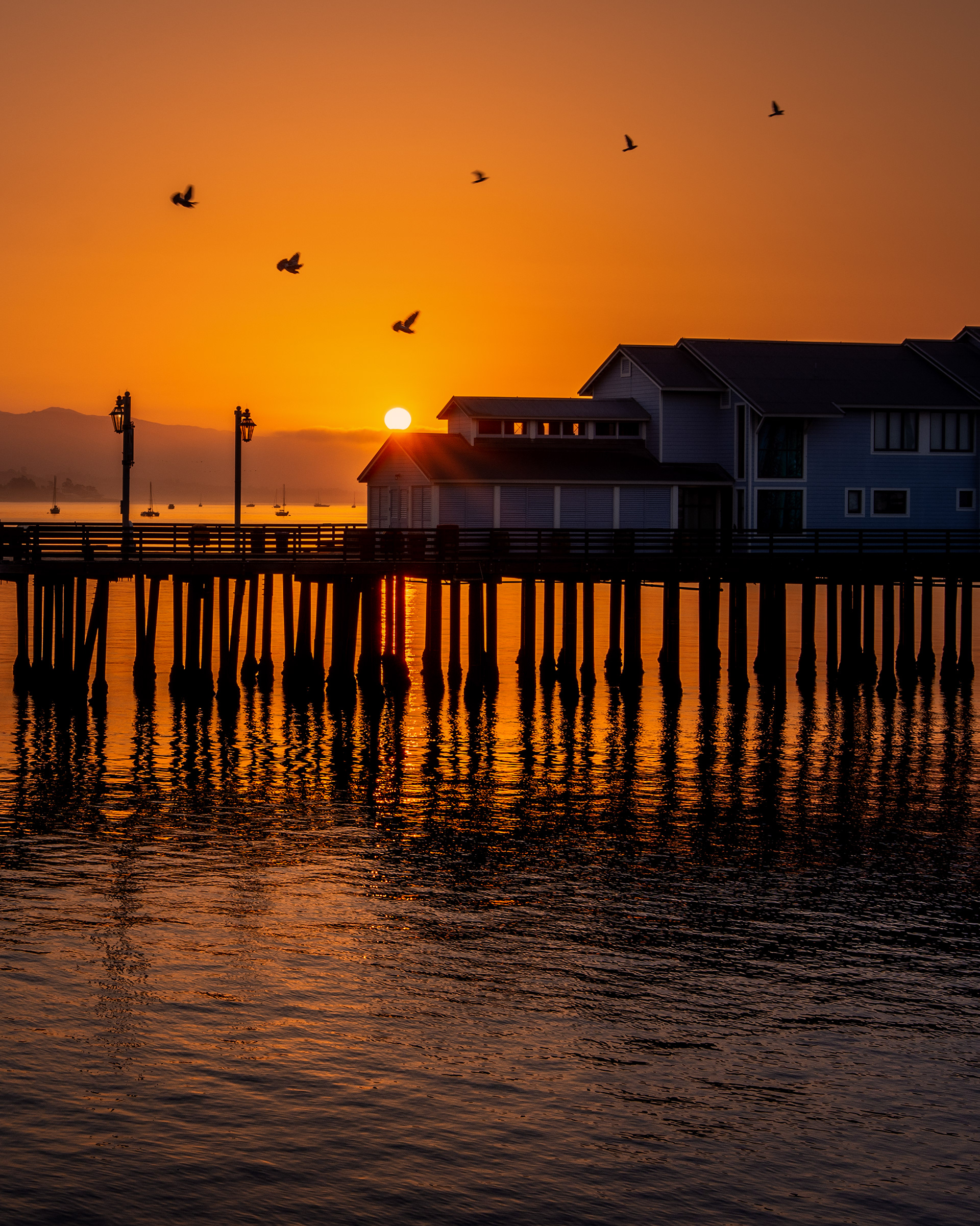 Stearns Wharf