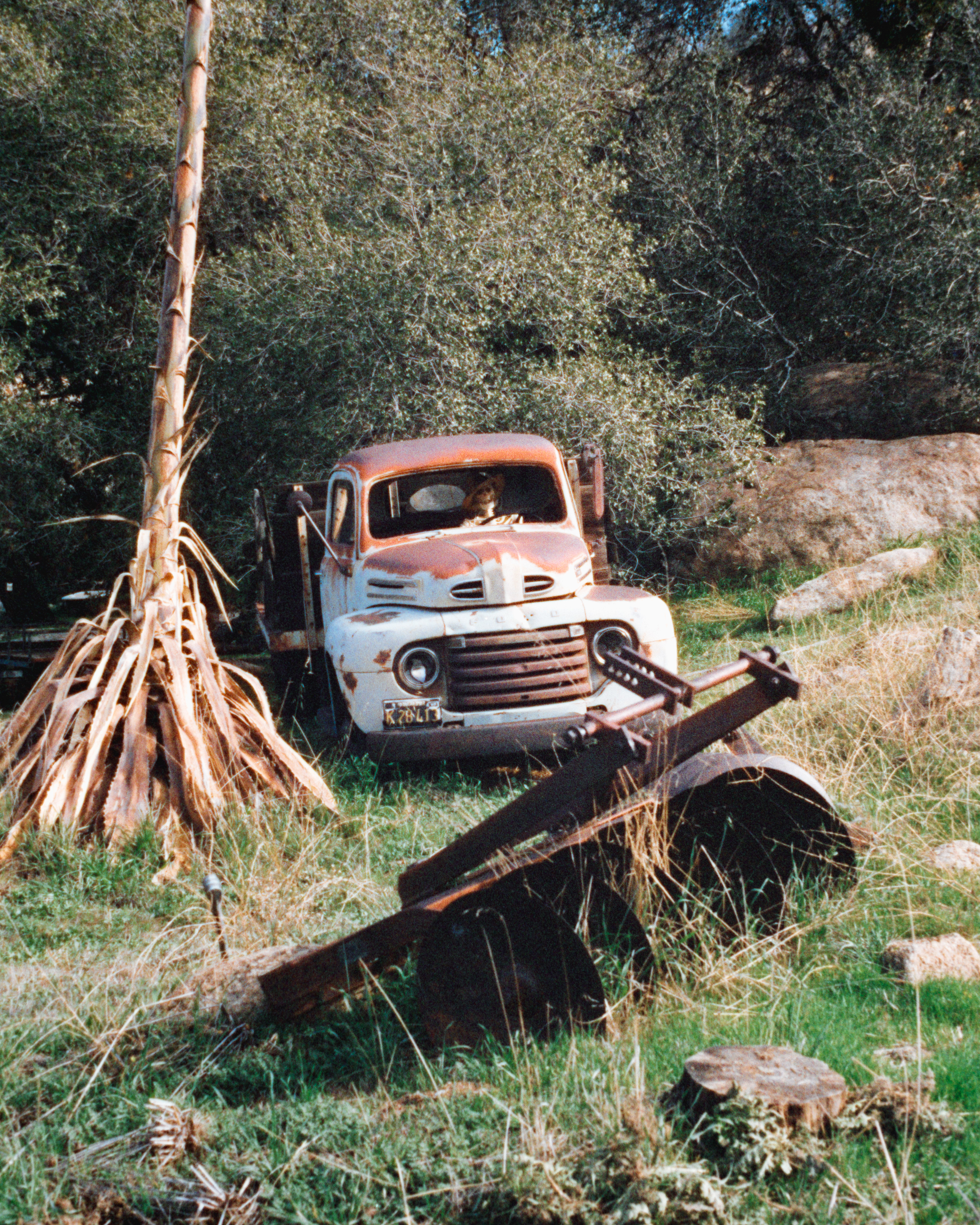 Keene, California - Nikon F4 | 50mm | F8 | 1/750 | Harmon Phoenix 200