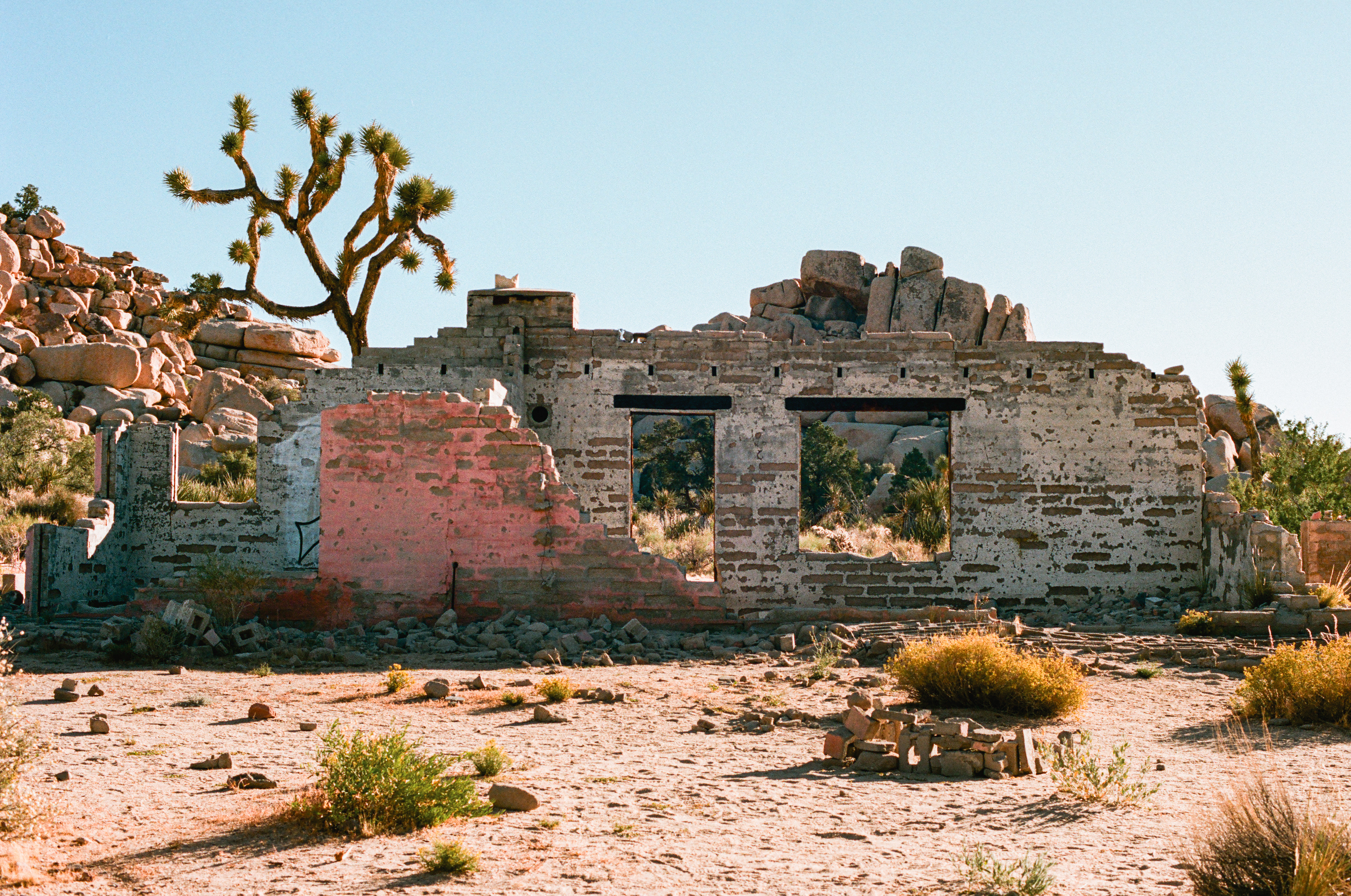 Joshua Tree National Park, California