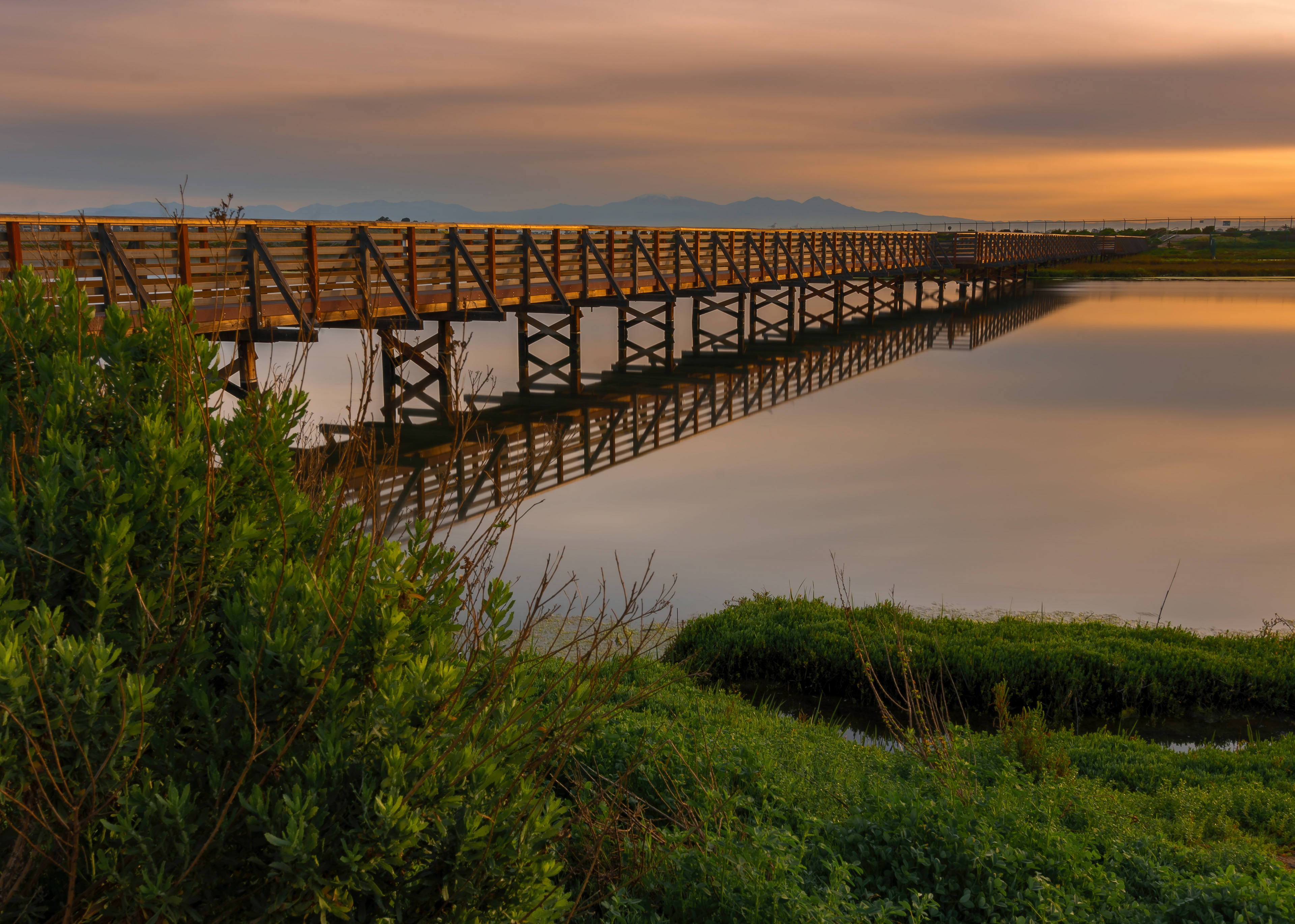 "Bolsa Chica Footbridge" Bolsa Chica Conservancy Calendar May 2020