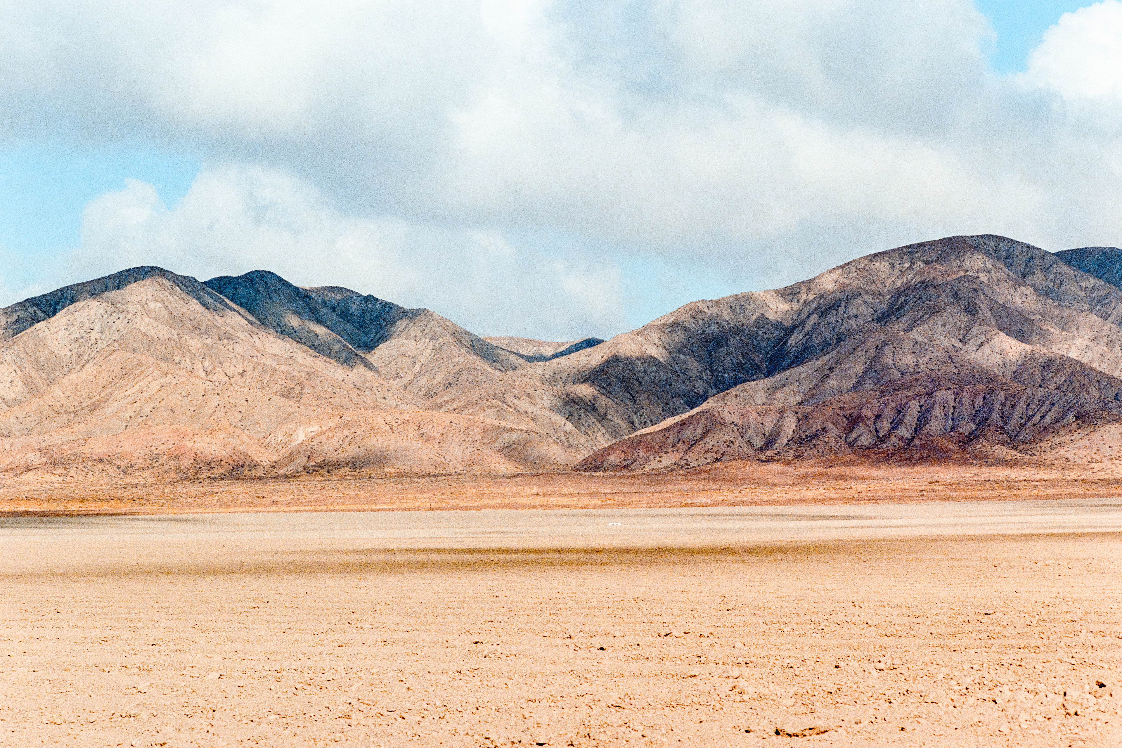 Near New Cuyama, California - Nikon FM | 50mm | F11 | 1/1000 | Fujifilm 400