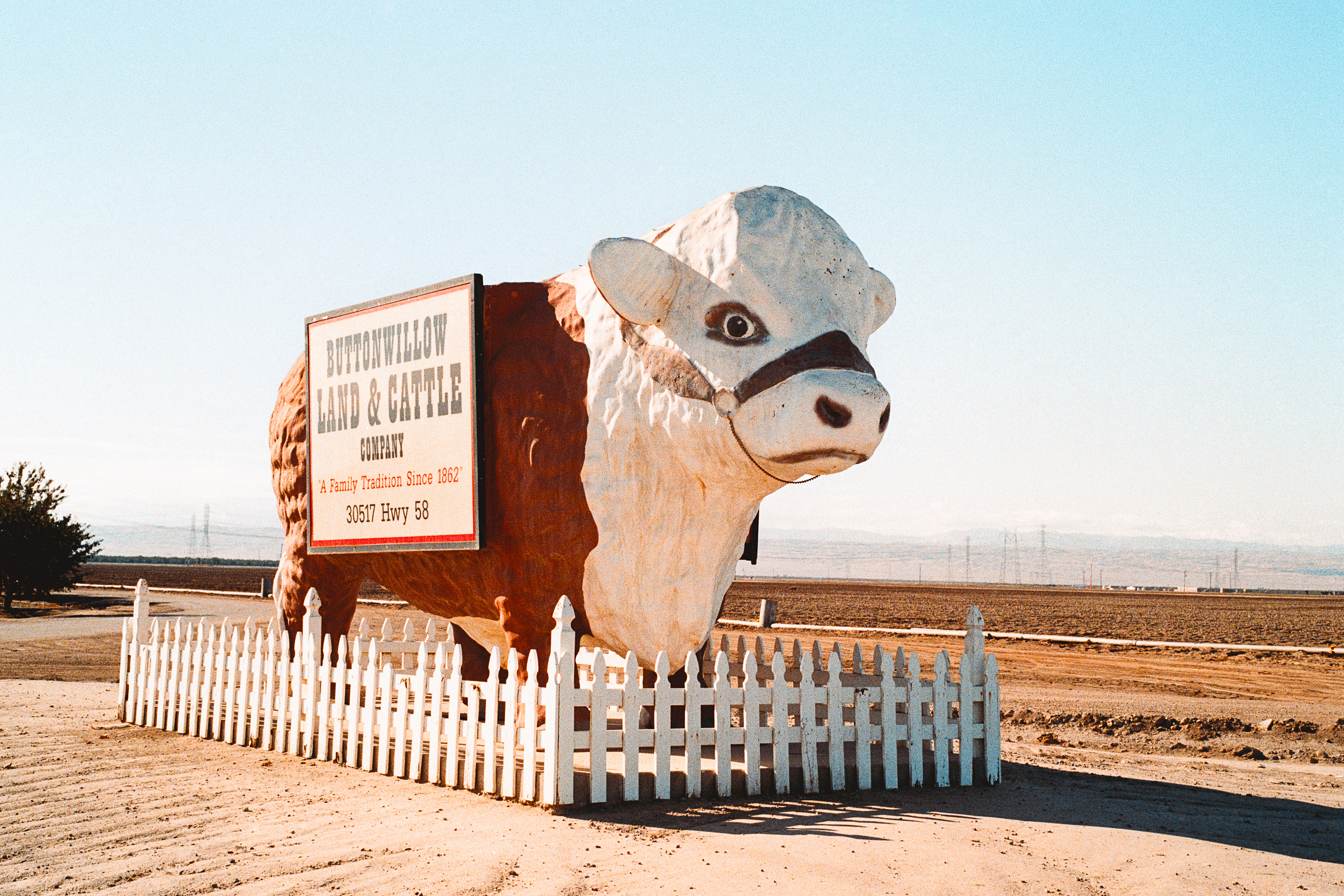 Buttonwillow, California - Nikon FM | 50mm | F11 | 1/1000 | Fujifilm 400