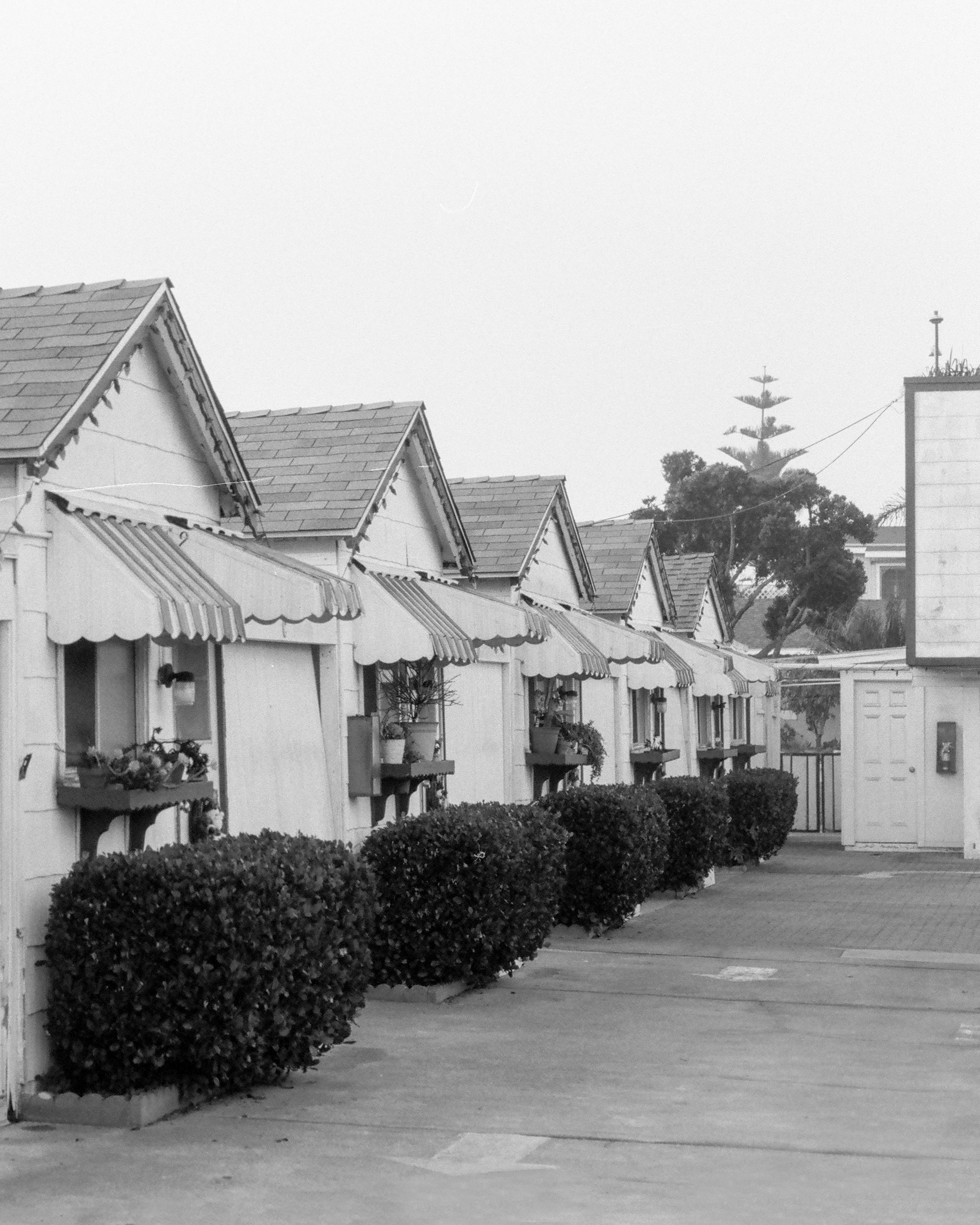Huntington Beach, California | Nikon FM | Lomo Earl Grey