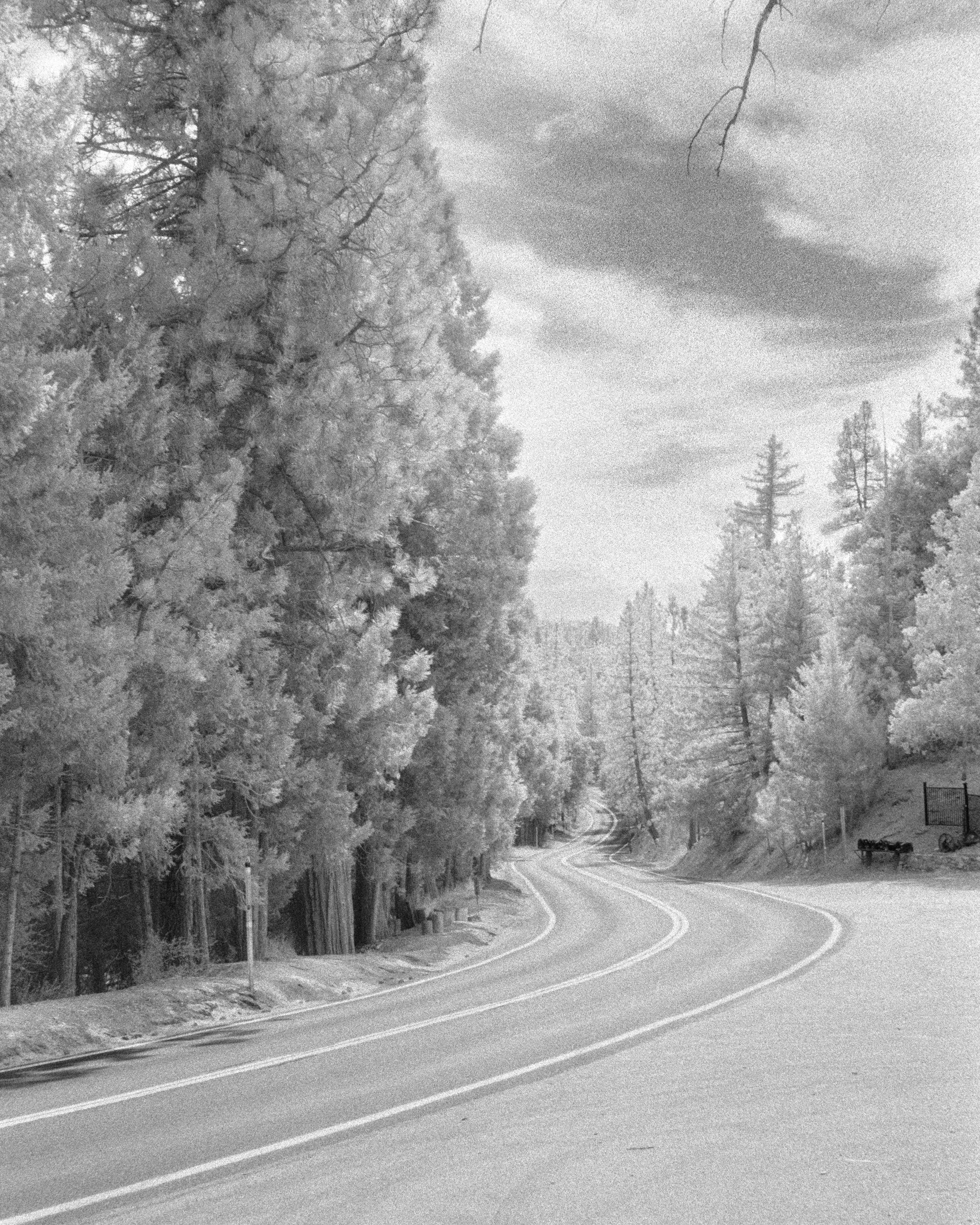 Newcomb's Ranch, California - Nikon F4 | 50mm | F8 | 1/10 | Ilford SFX 200