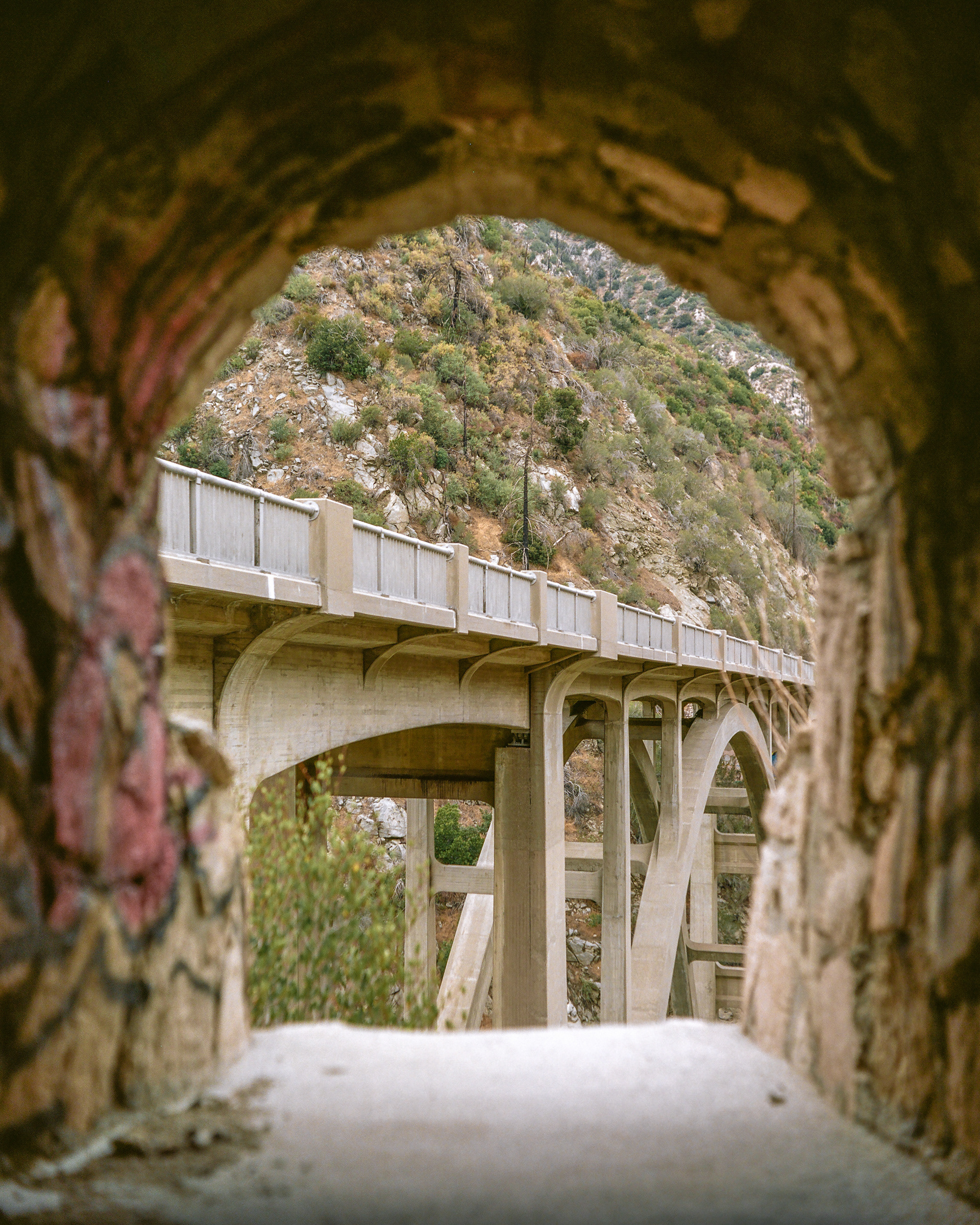 Angeles National Forest, California | Pigeonflex | Portra 160