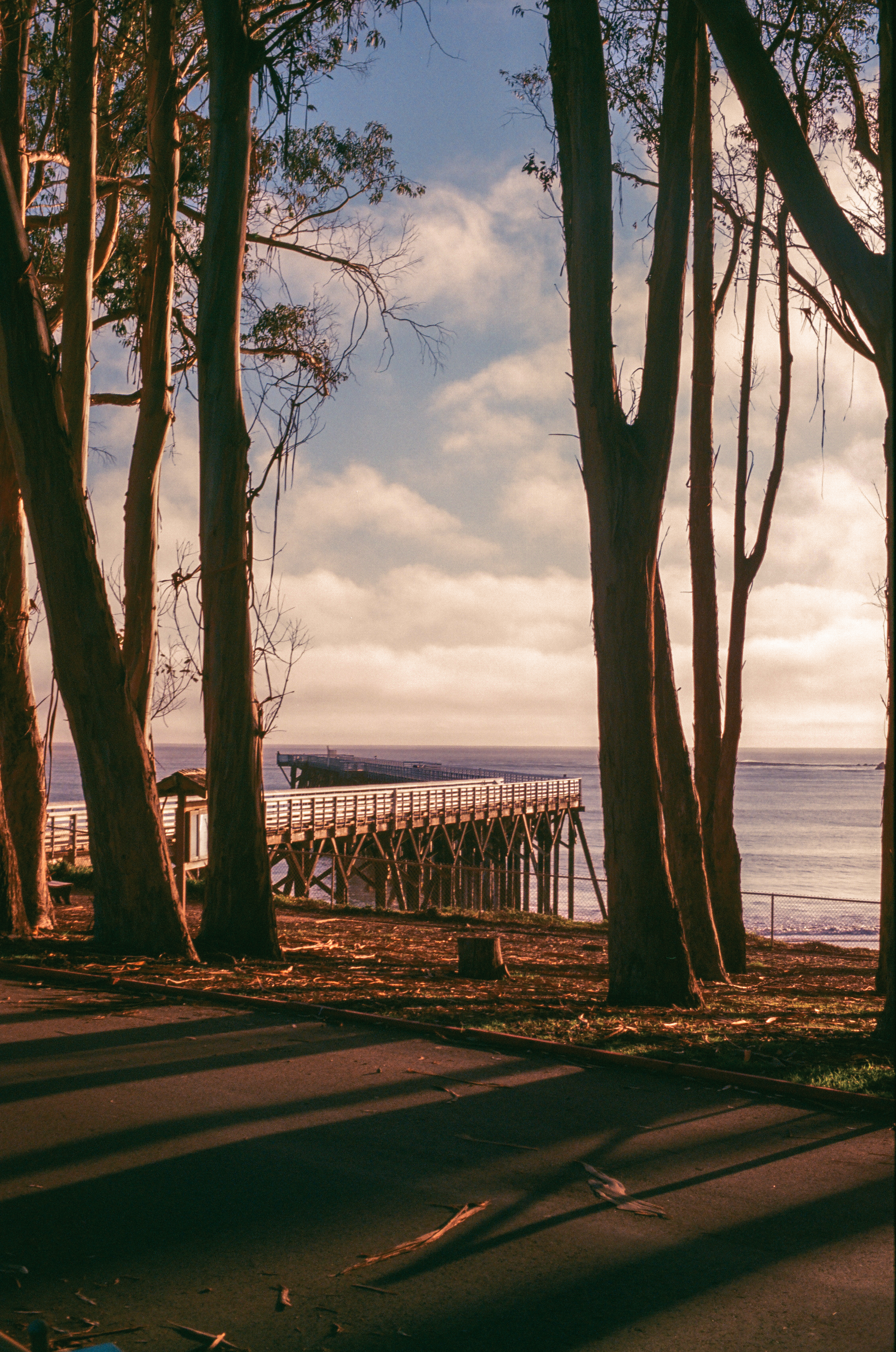 San Simeon