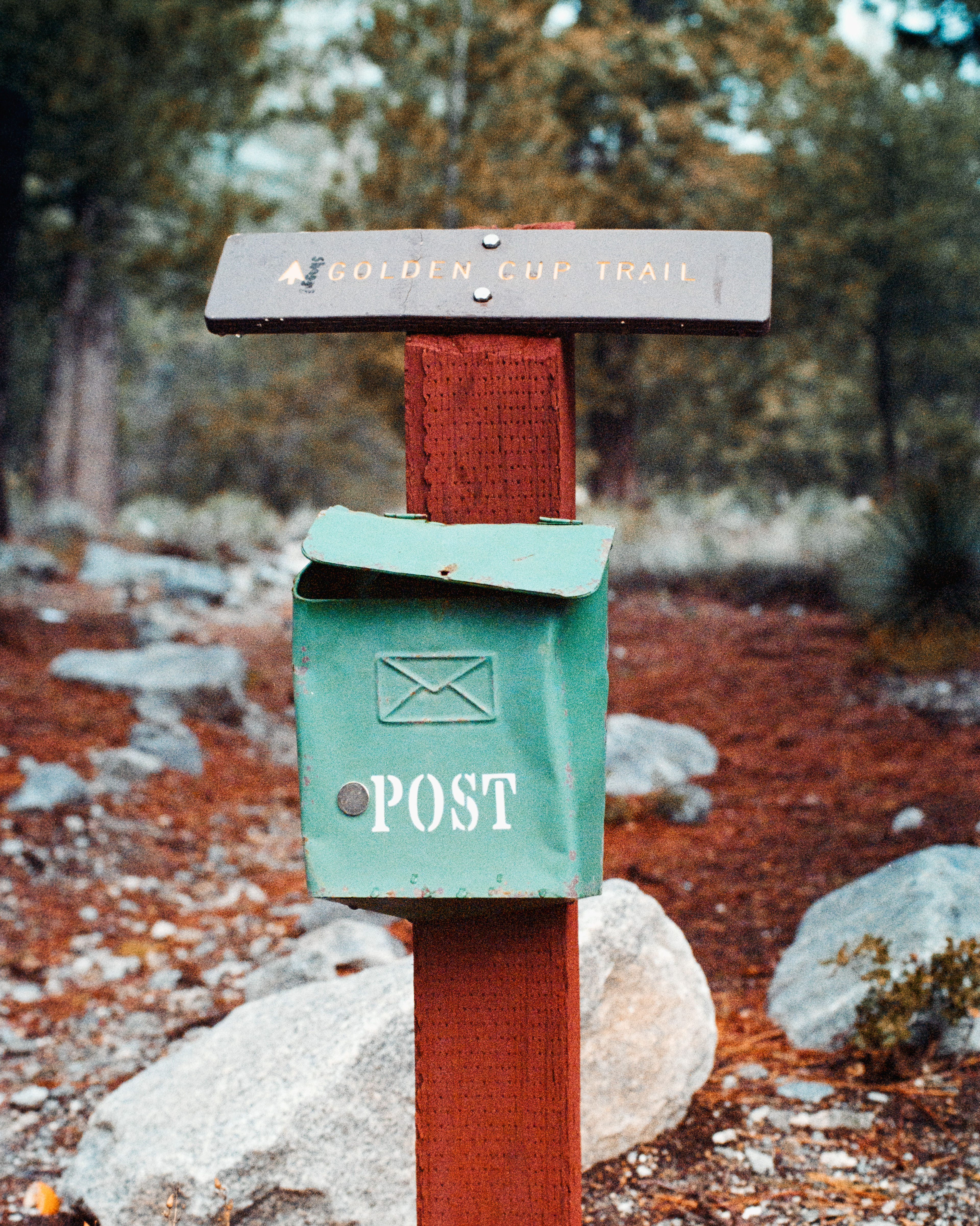 Crystal Lake, California - Nikon F4 | 50mm F4 | 1/250 | Expired Kodak Ultramax 400