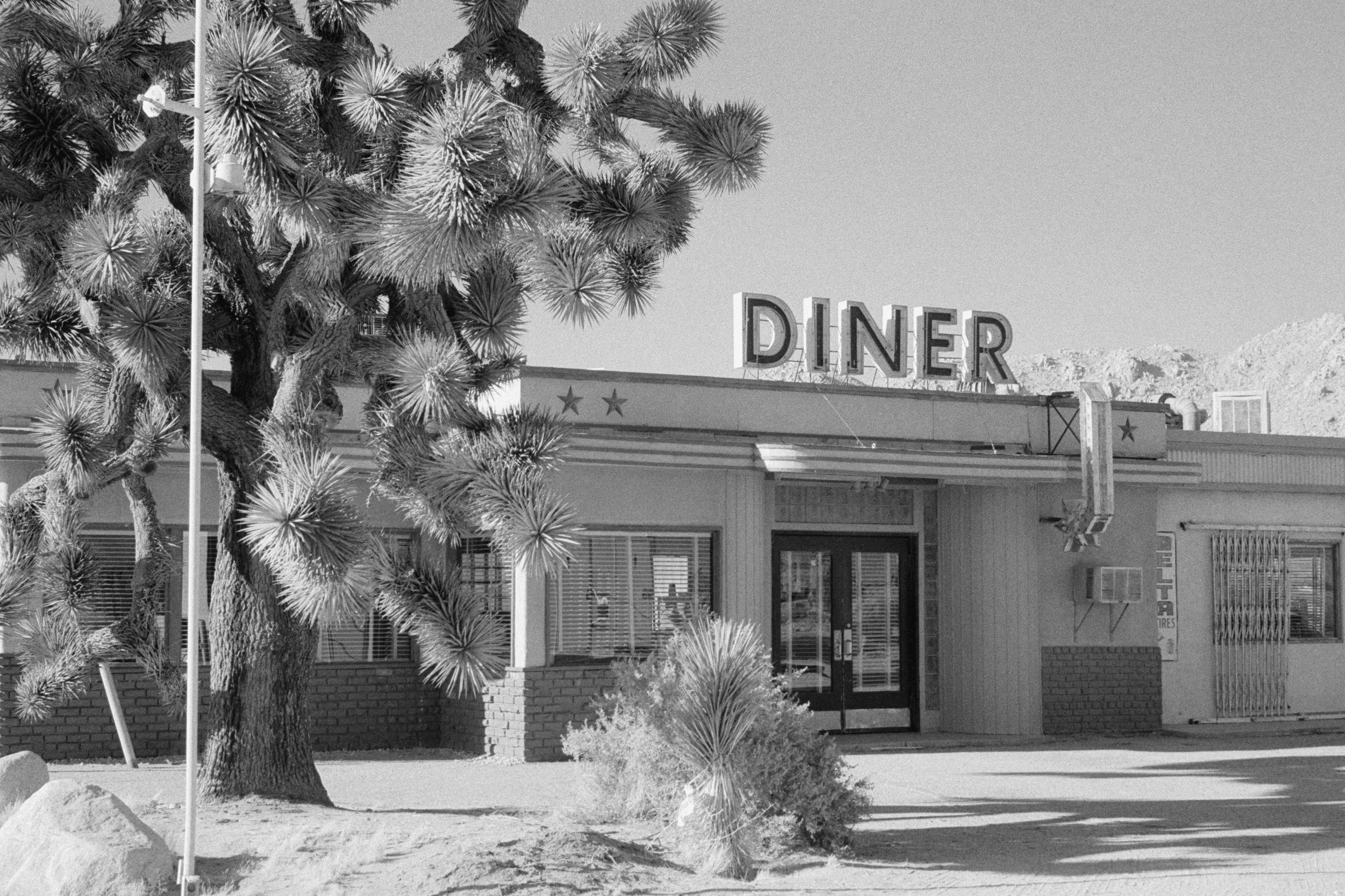 Lake Los Angeles, California - Nikon FM | 50mm | F11 | 1/125 | Ilford HP5