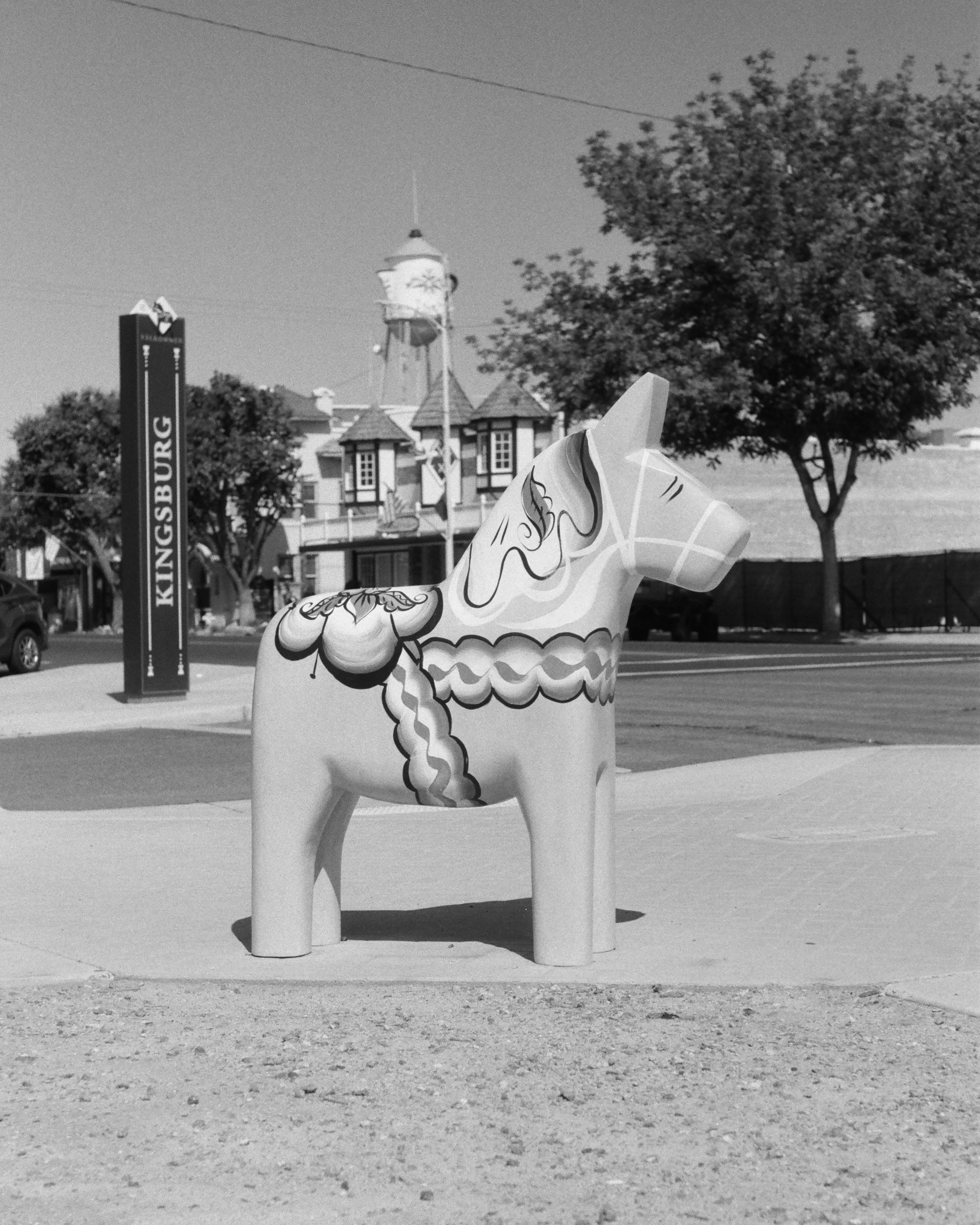 Kingsburg, California | Nikon FM | Agfa APX 100