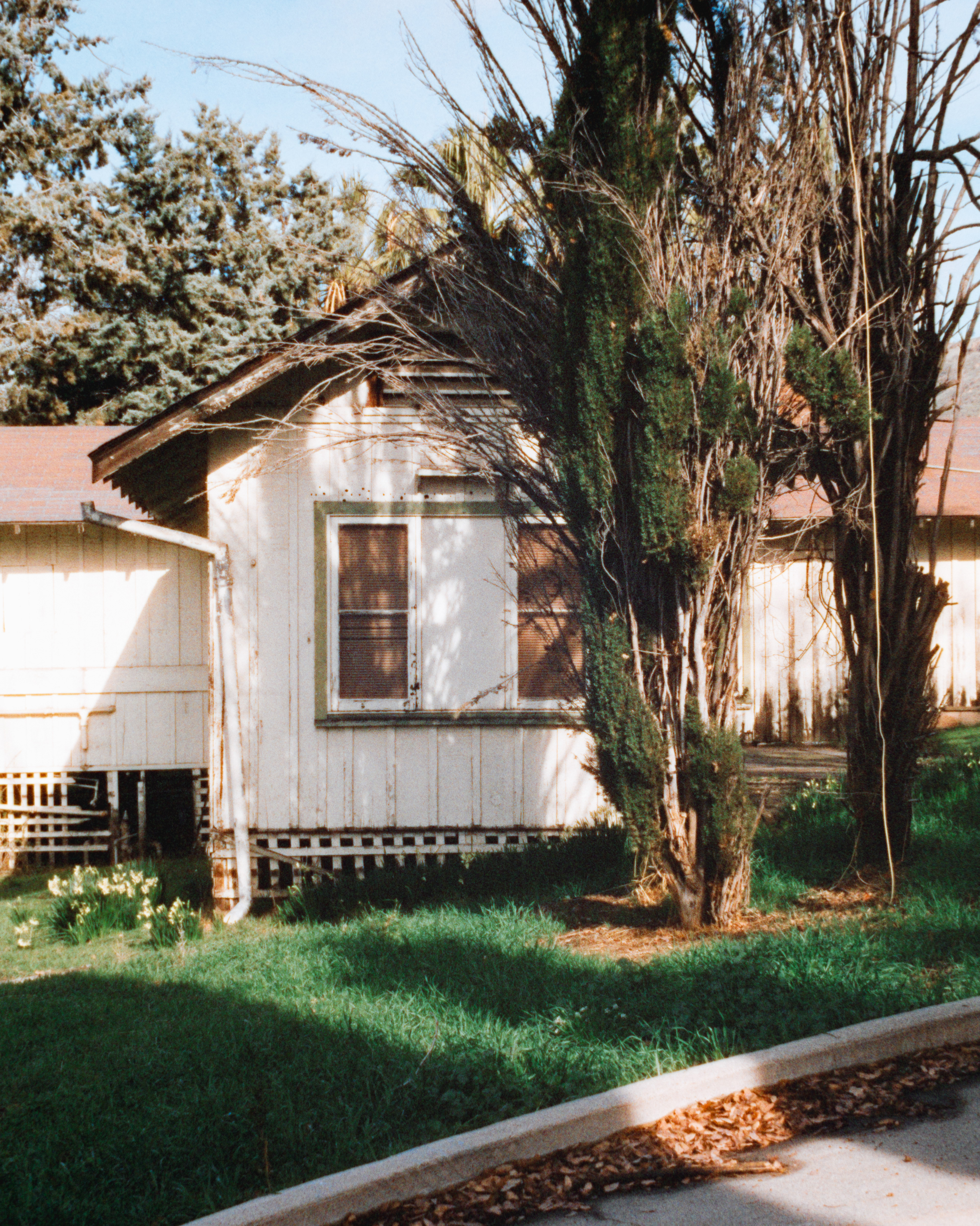 Keene, California - Nikon F4 | 50mm | F8 | 1/250 | Harmon Phoenix 200