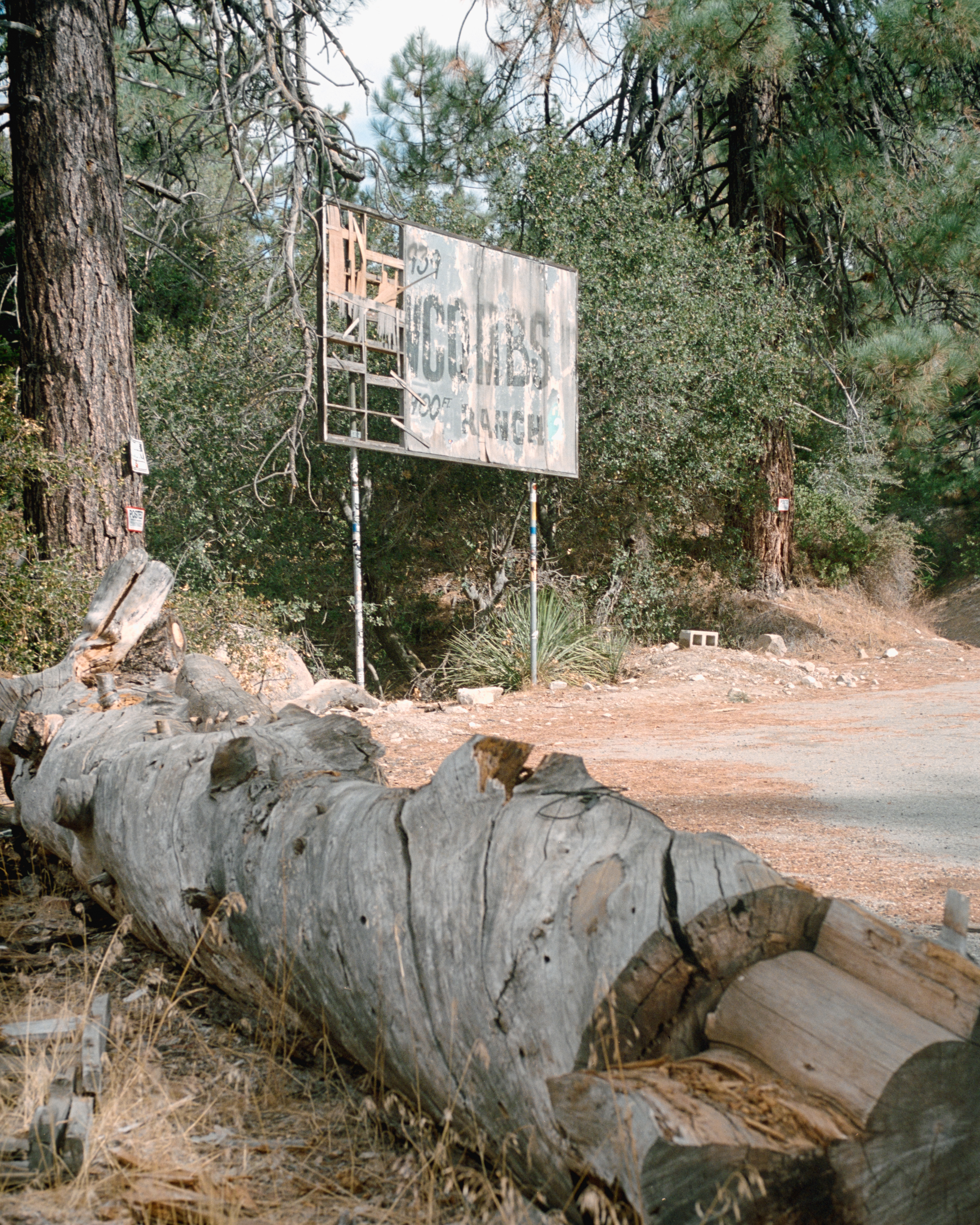 Newcomb's Ranch, California - Nikon FM | 50mm | F8 | 1/125 | Flic Film Elektra 100 (Kodak Aerocolor IV)