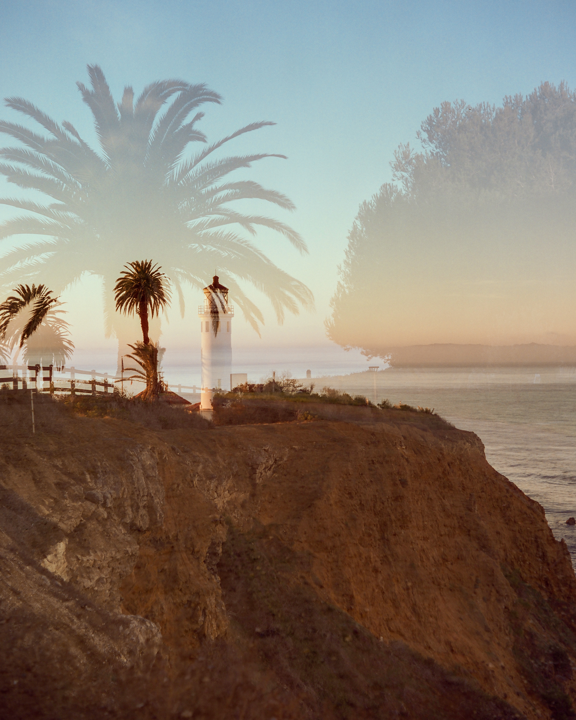 Palos Verdes, California | Pigeonflex | Cinestill 50D