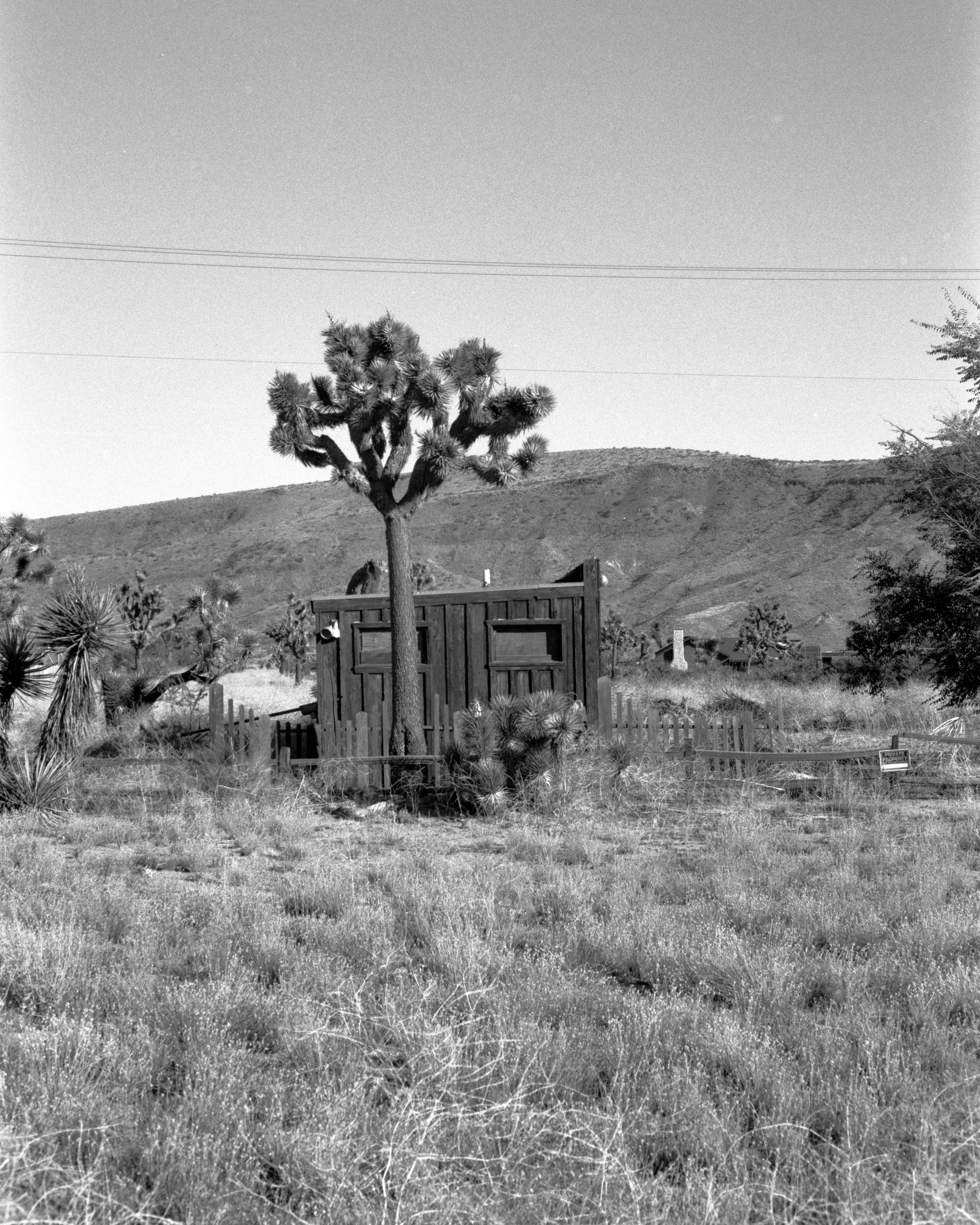 Pioneer Town, California
