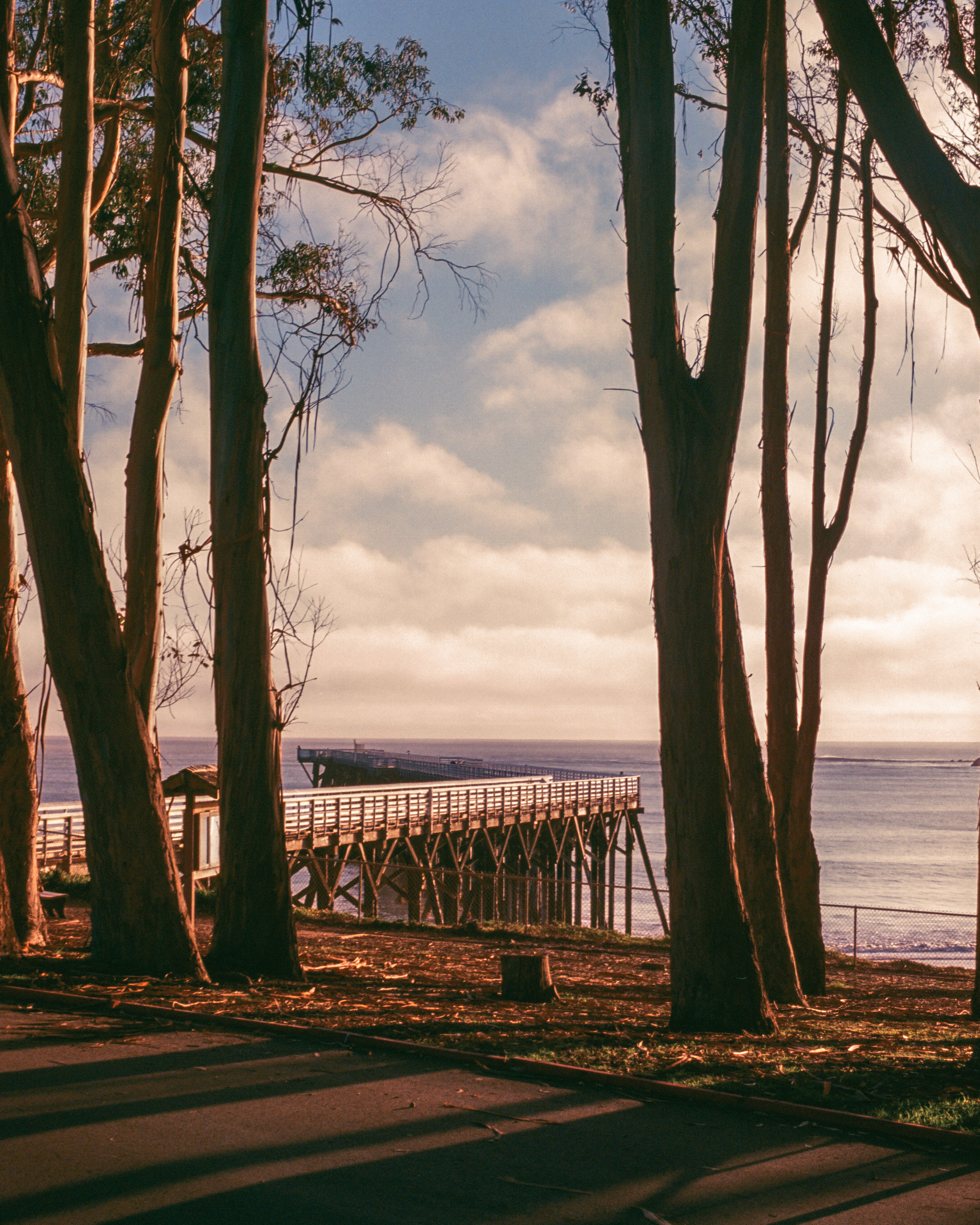 San Simeon, California | Nikon FM | Ektar 100