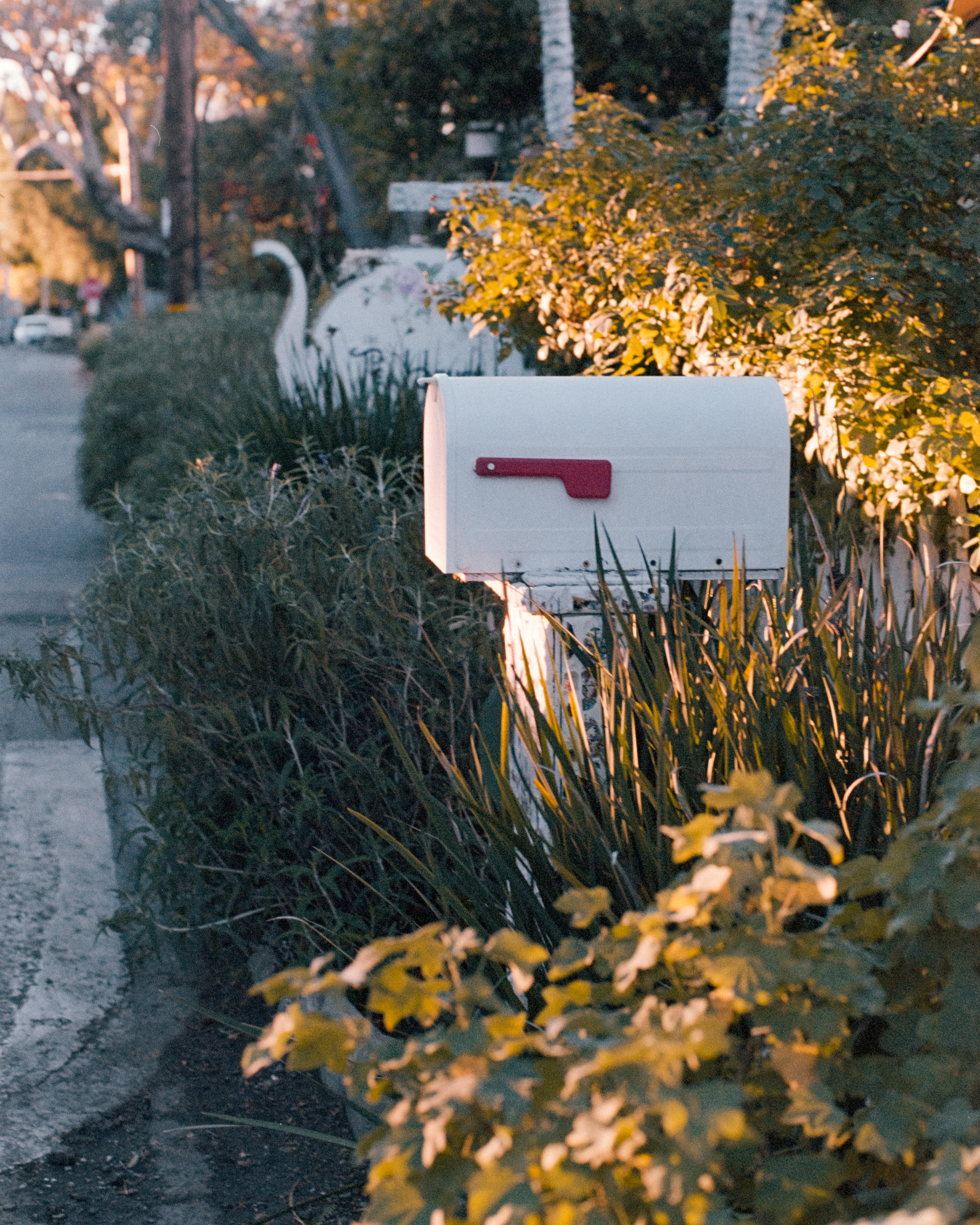 San Juan Capistrano, California - Nikon F4 | 50mm | F4 | 1/60 | Expired Kodak HD 400