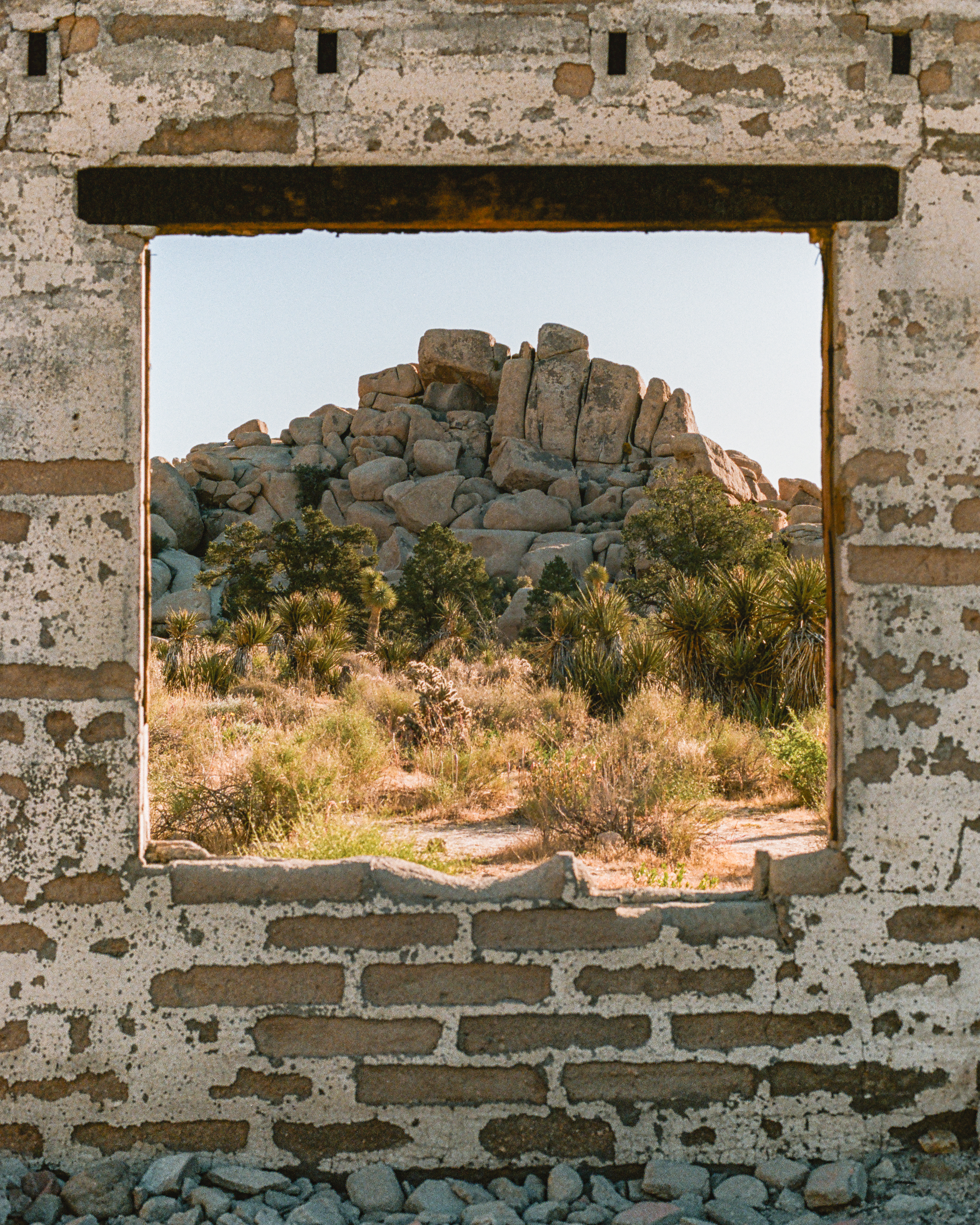 Joshua Tree National Park, California