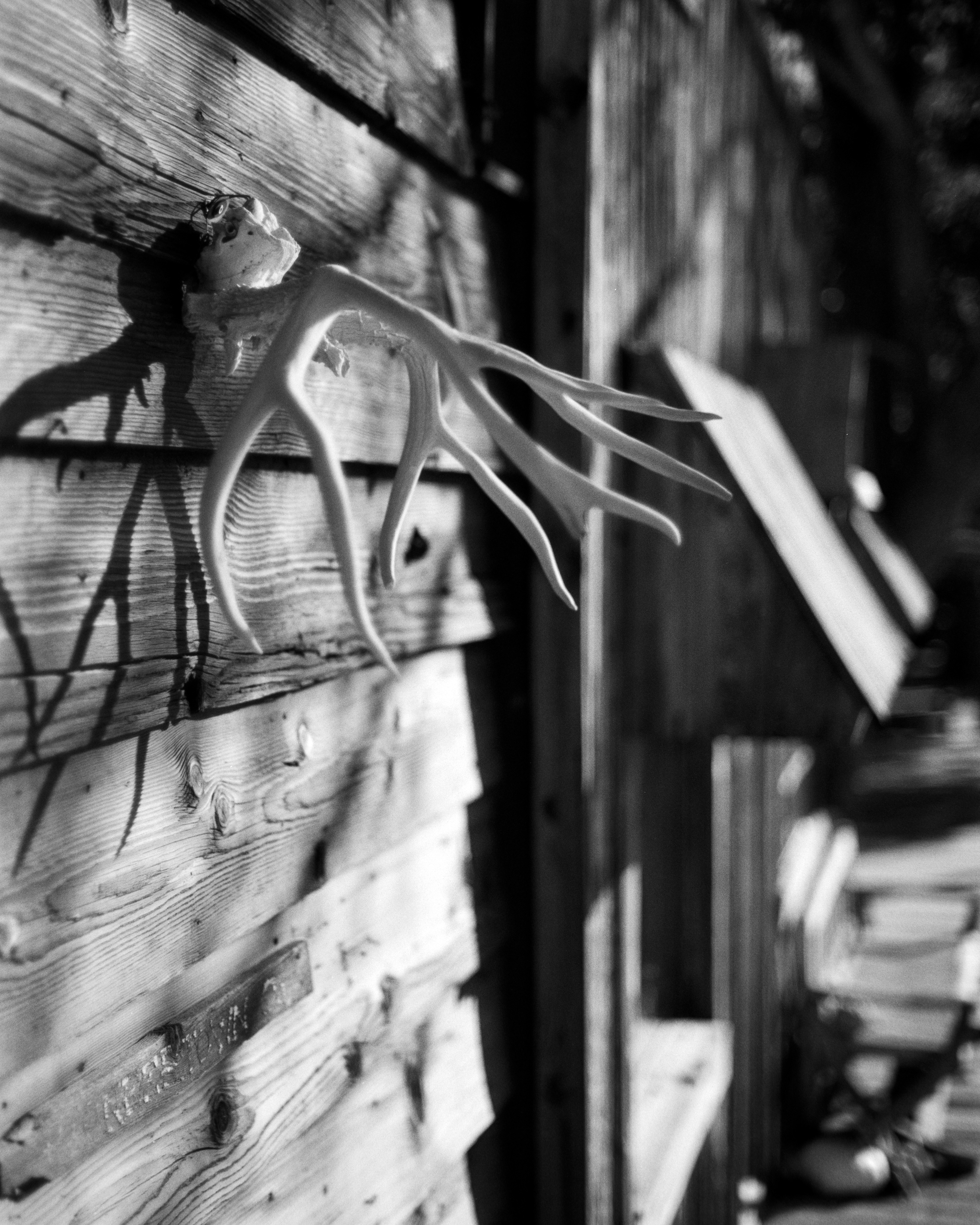 Pioneer Town, California