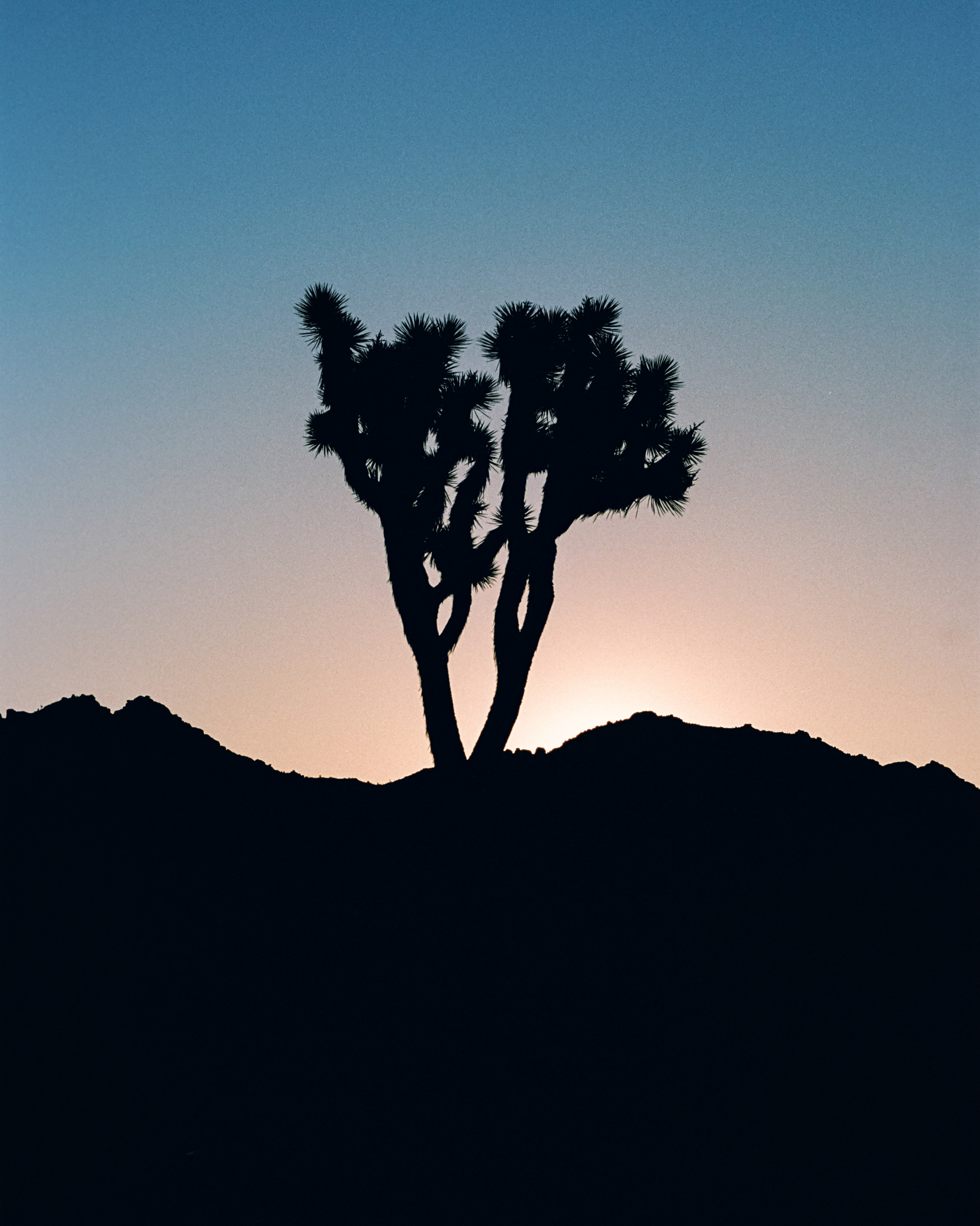 Joshua Tree National Park, California