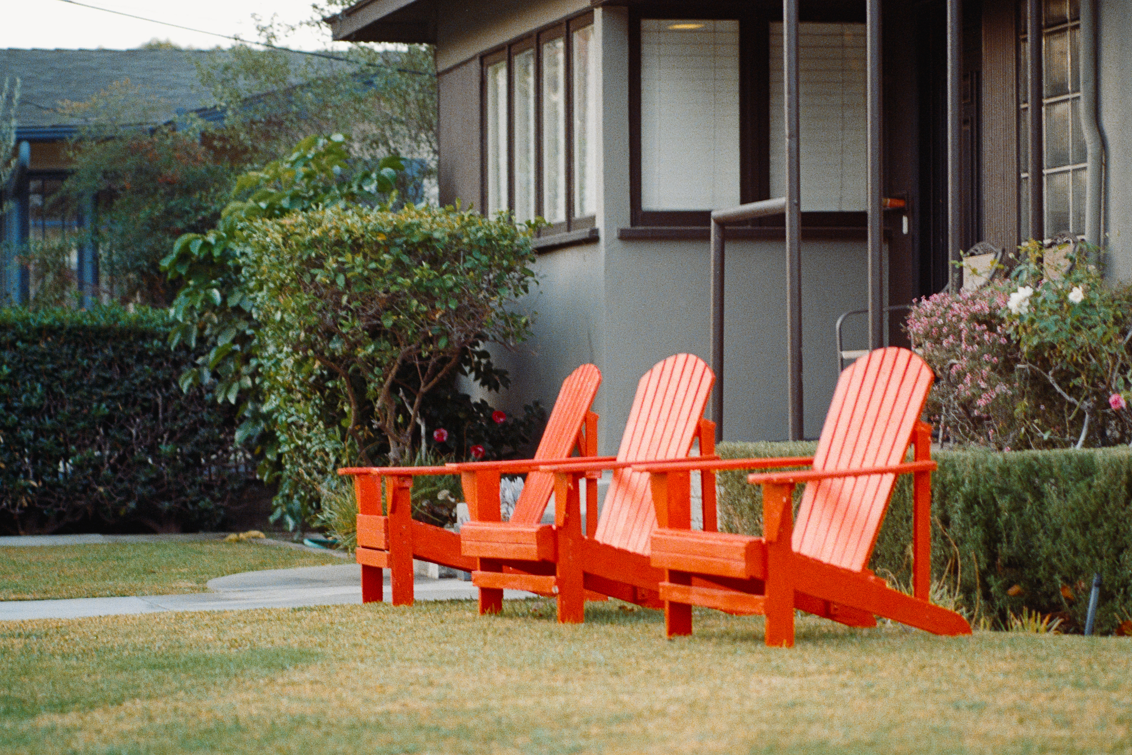 Orange, California - Nikon FM | 105mm | F2.5 | 1/60 | Fujifilm 400
