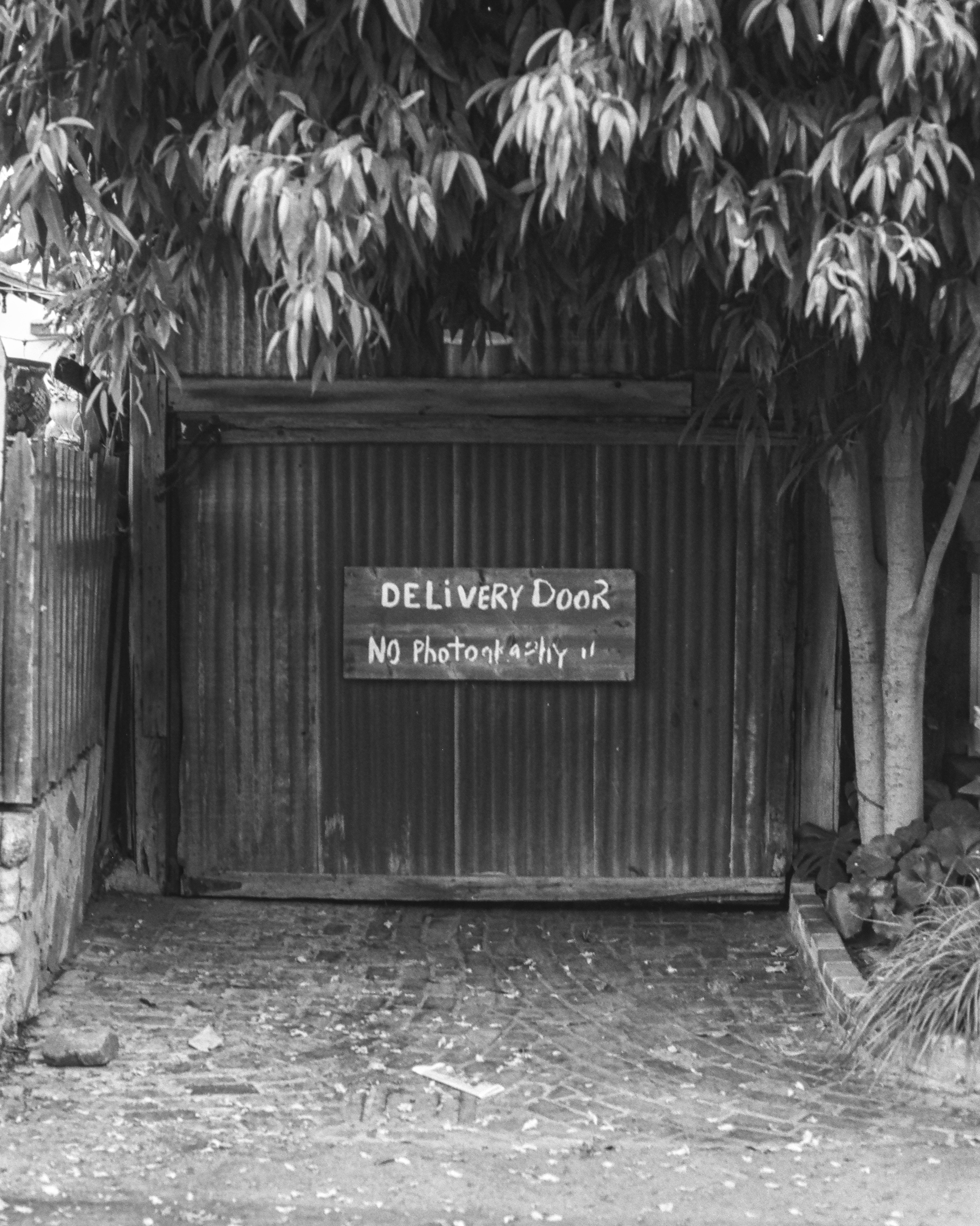 San Juan Capistrano, California | Nikon FM | Pan F 50