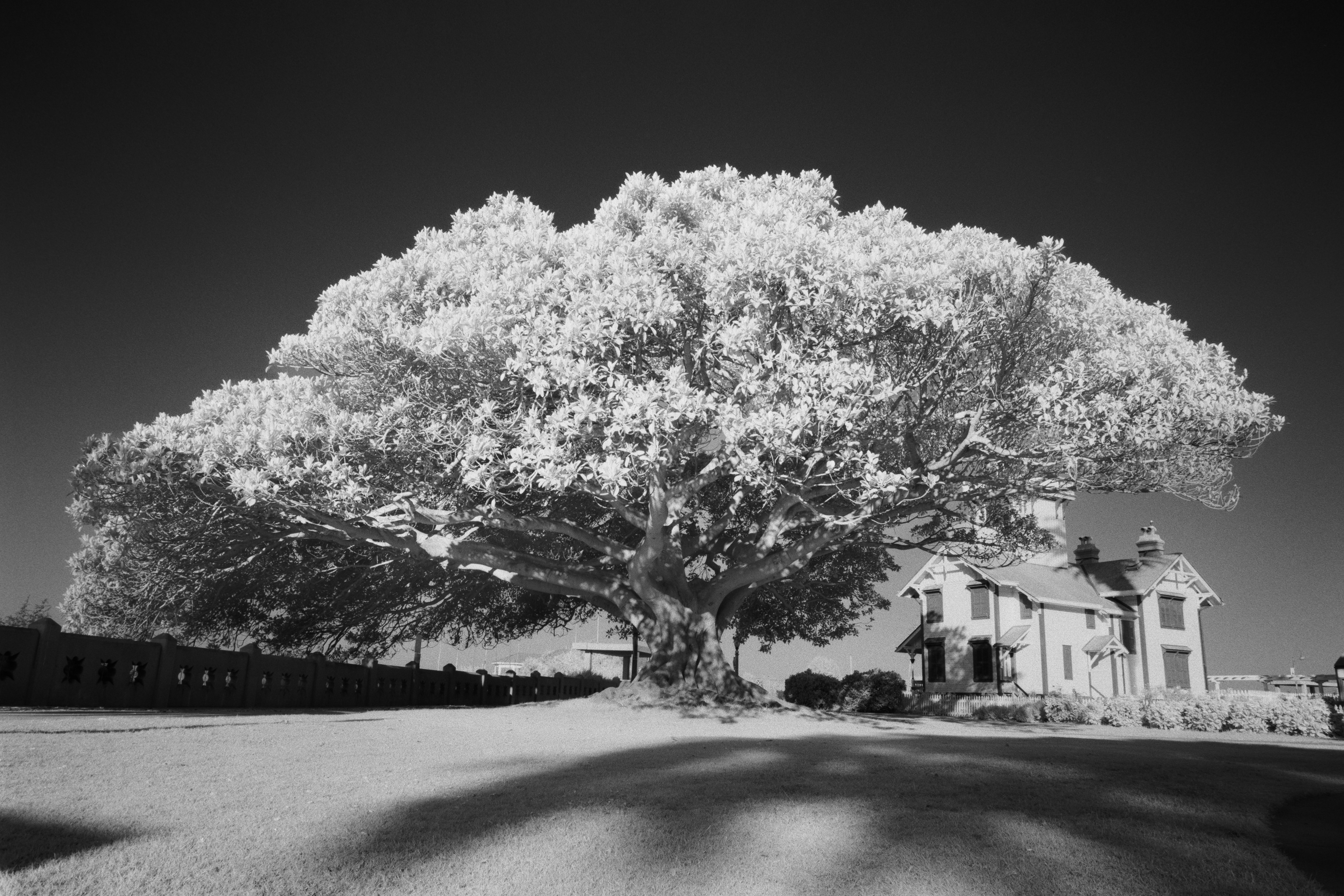 San Pedro, California - Nikon F4 | 24mm | F11 | 1/4 | Rollei Infrared 400