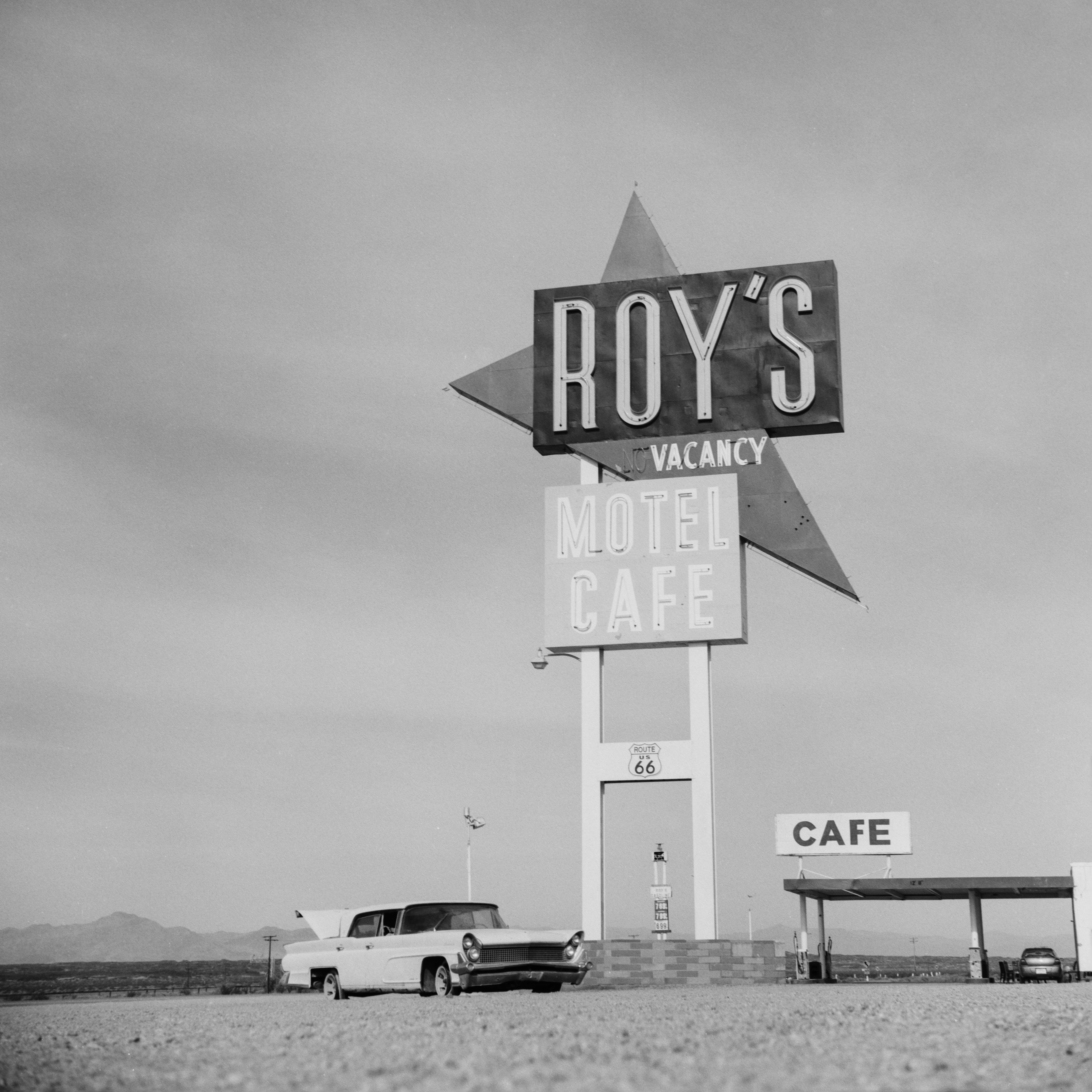 Amboy, California | Pigeonflex | Delta 100