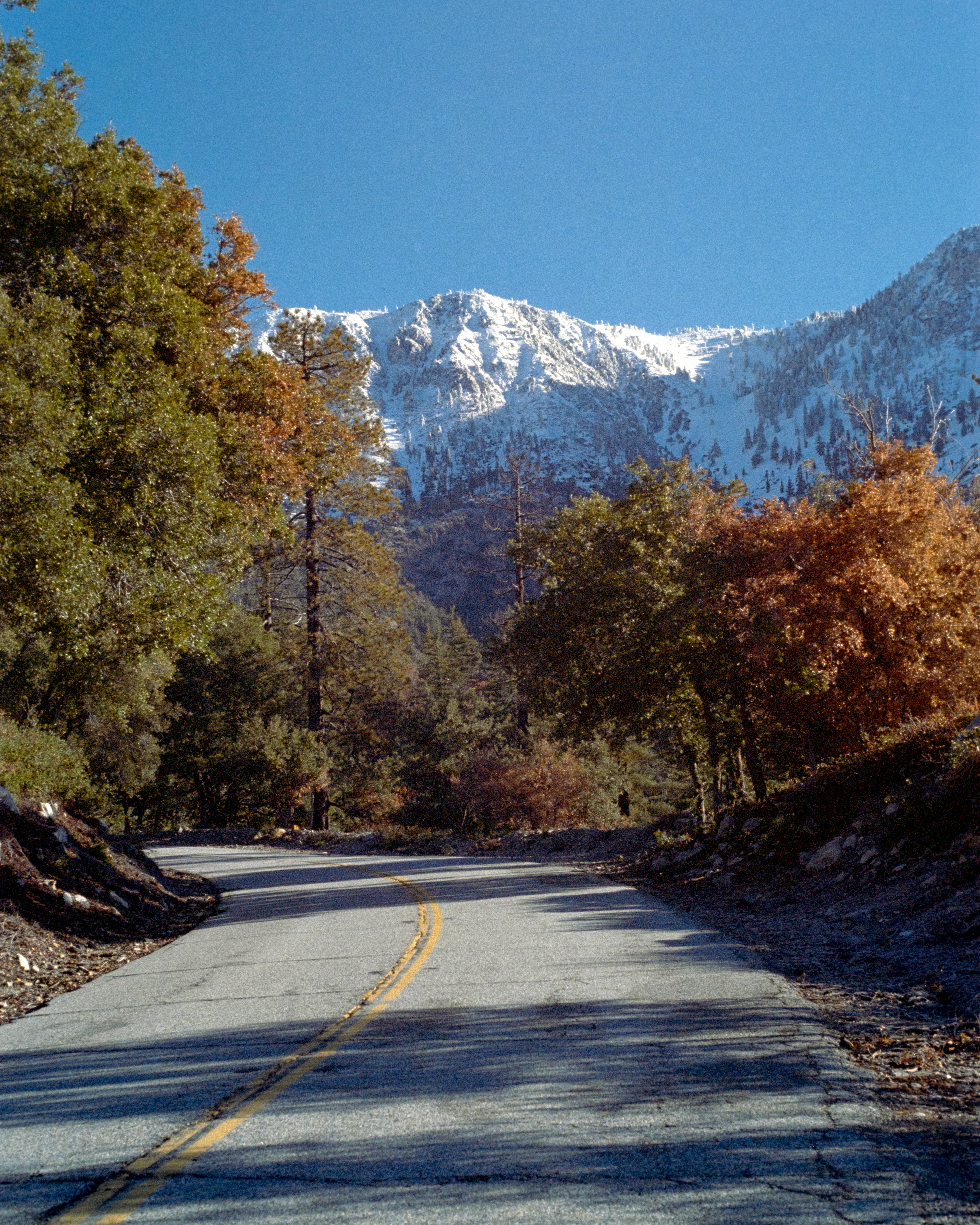 Crystal Lake, California - Nikon F4 | 50mm F5.6 | 1/80 | Expired Kodak Ultramax 400