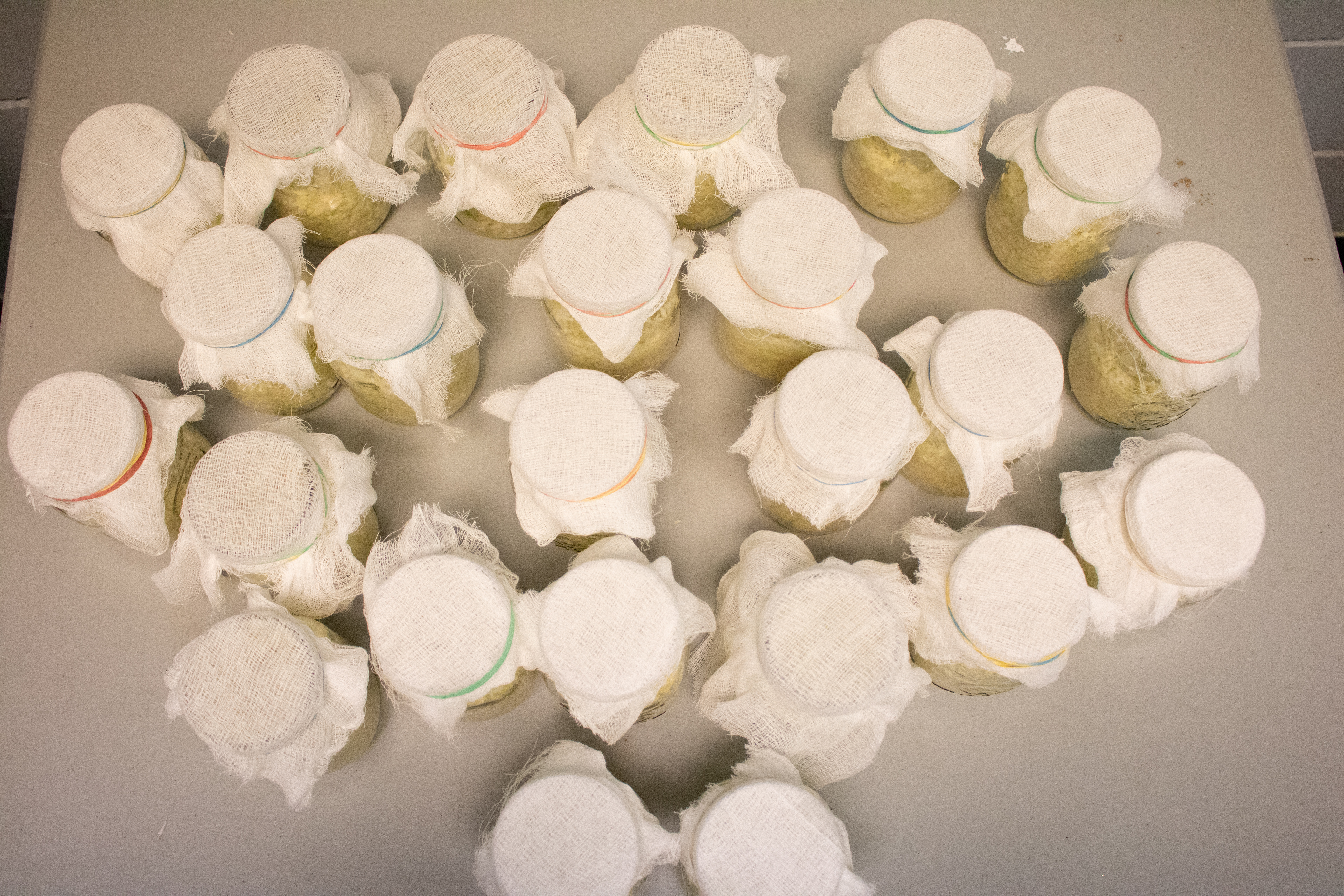 Sour Kraut Jars, Family Resource Centre, Dartmouth, NS