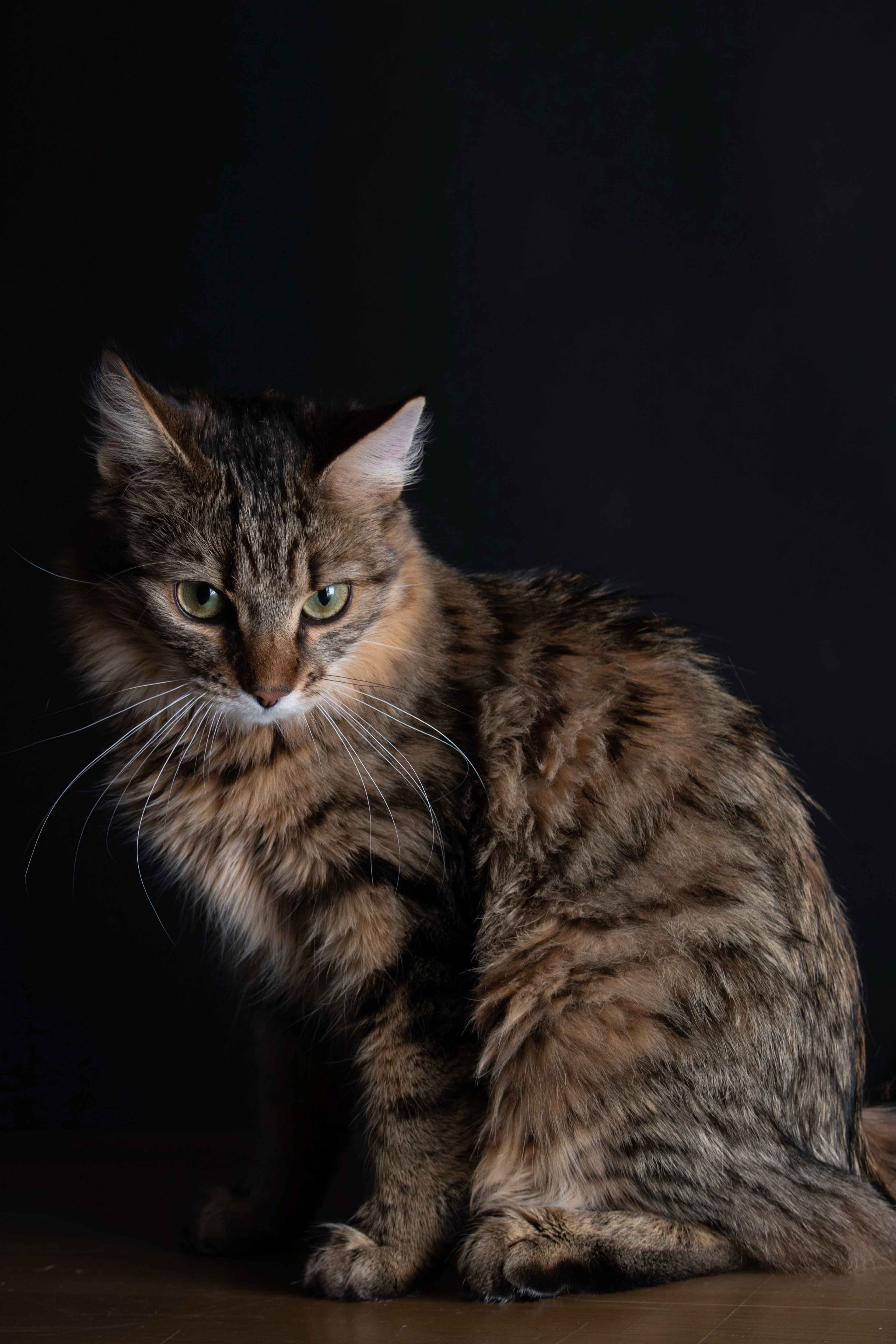 Maggie in The Studio