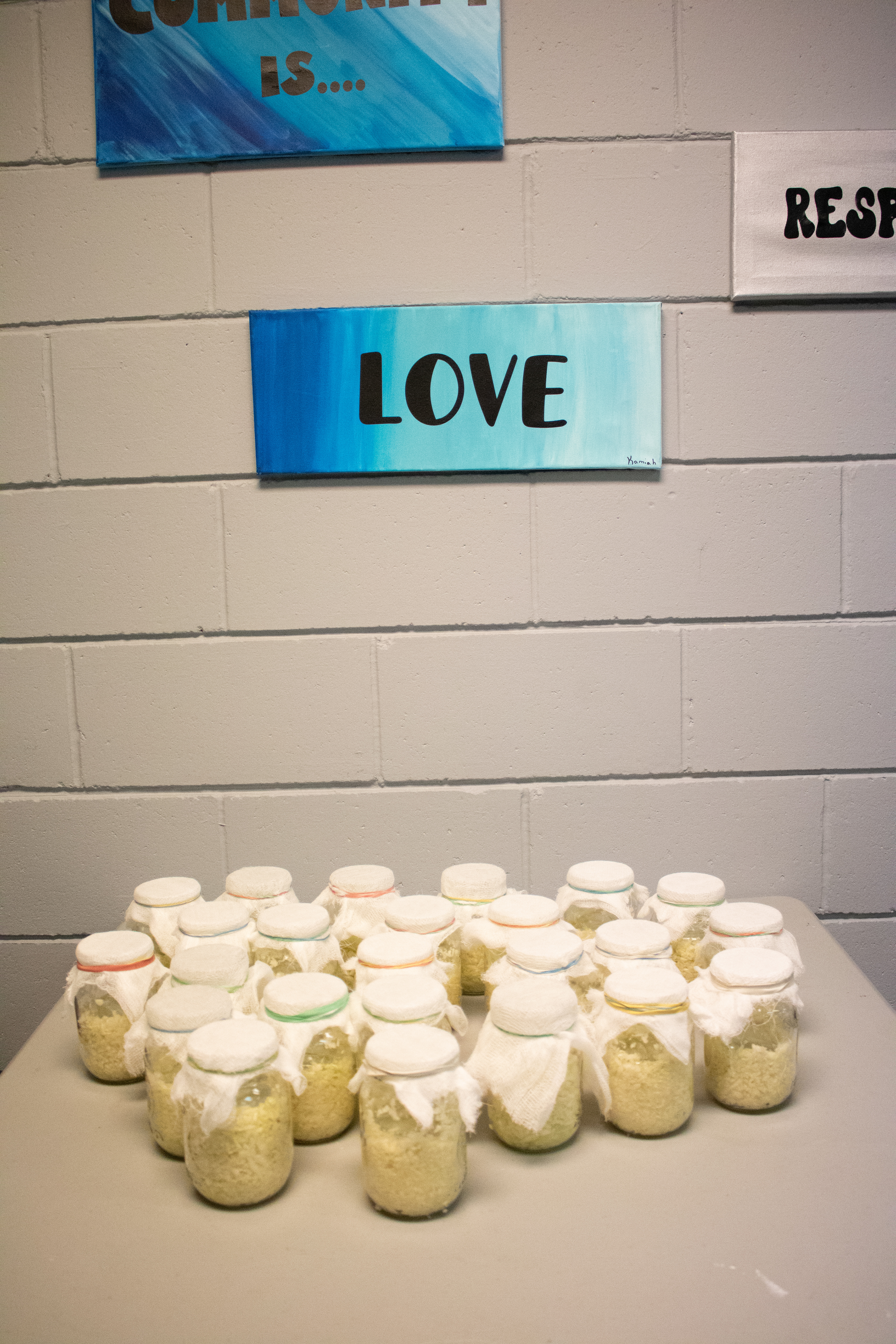 Sour Kraut Event