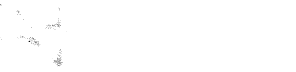 diana forero meneses diseñadora