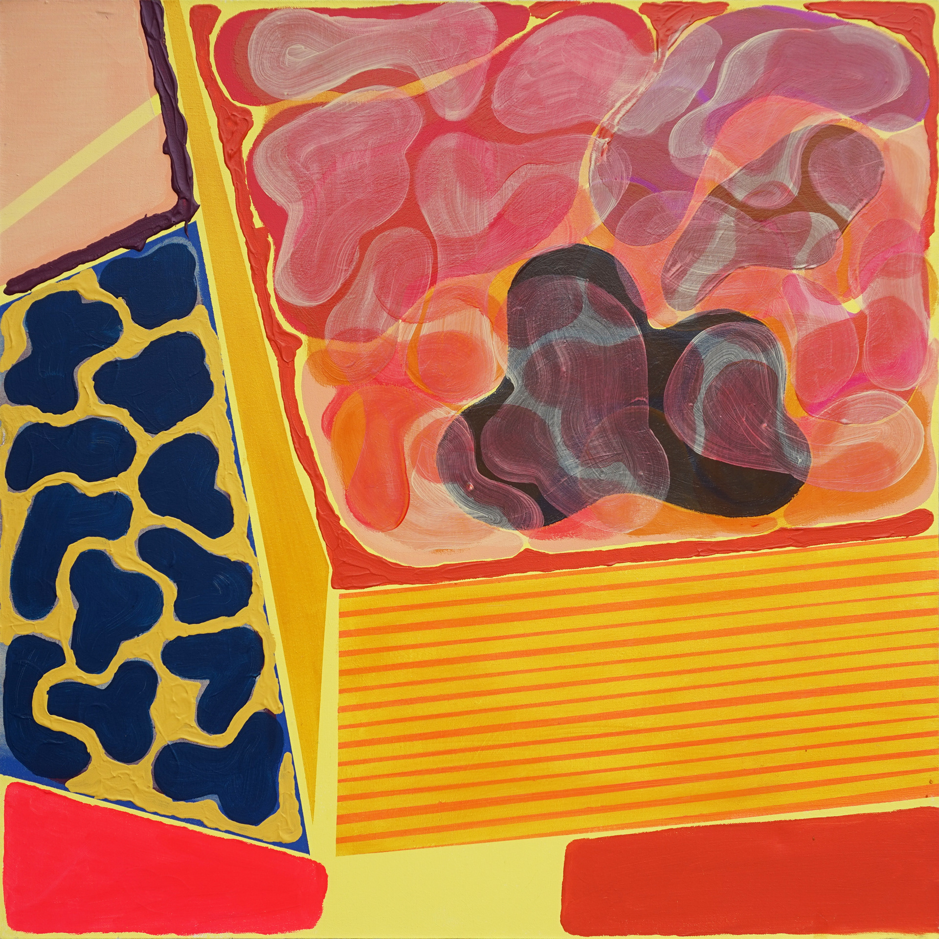 Boxed Colour, 36"x36"