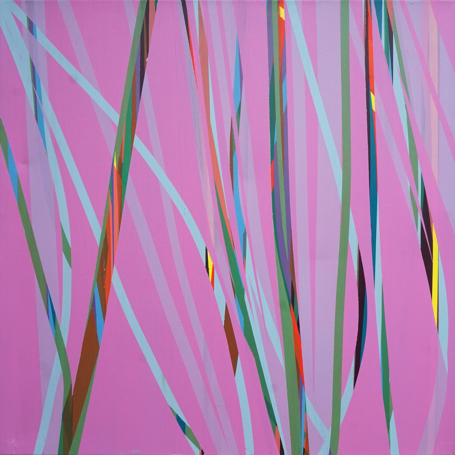 Cat Tails, 36"x36"