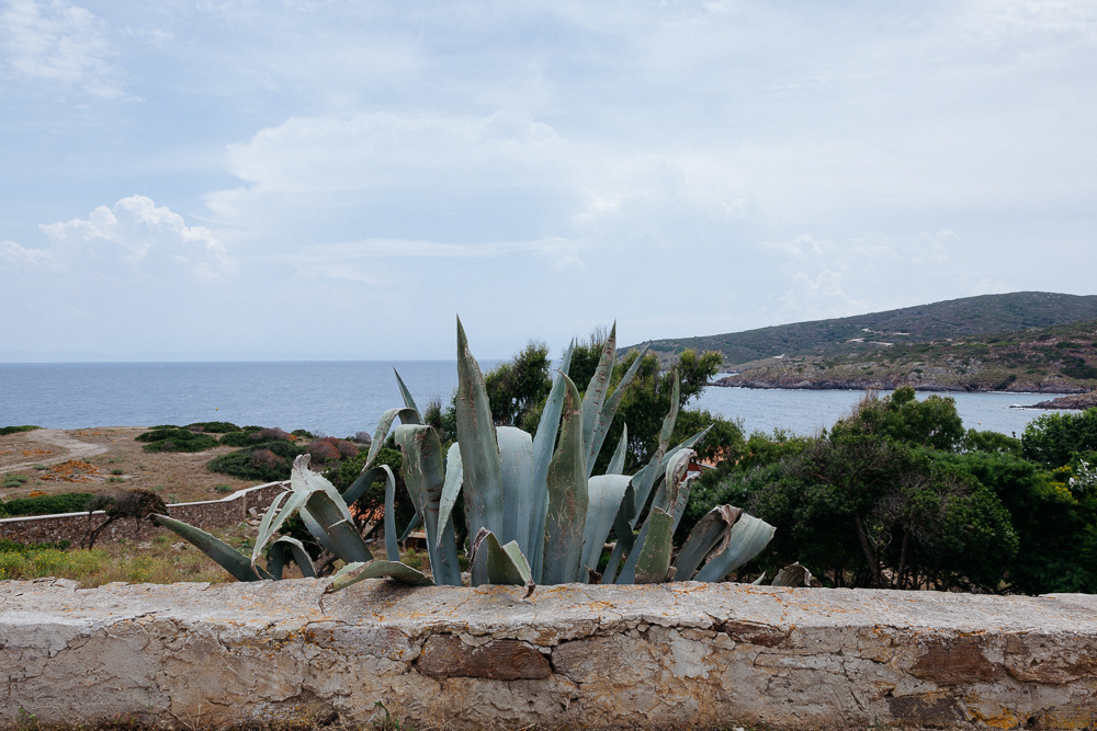 Isola dell'Asinara #6
