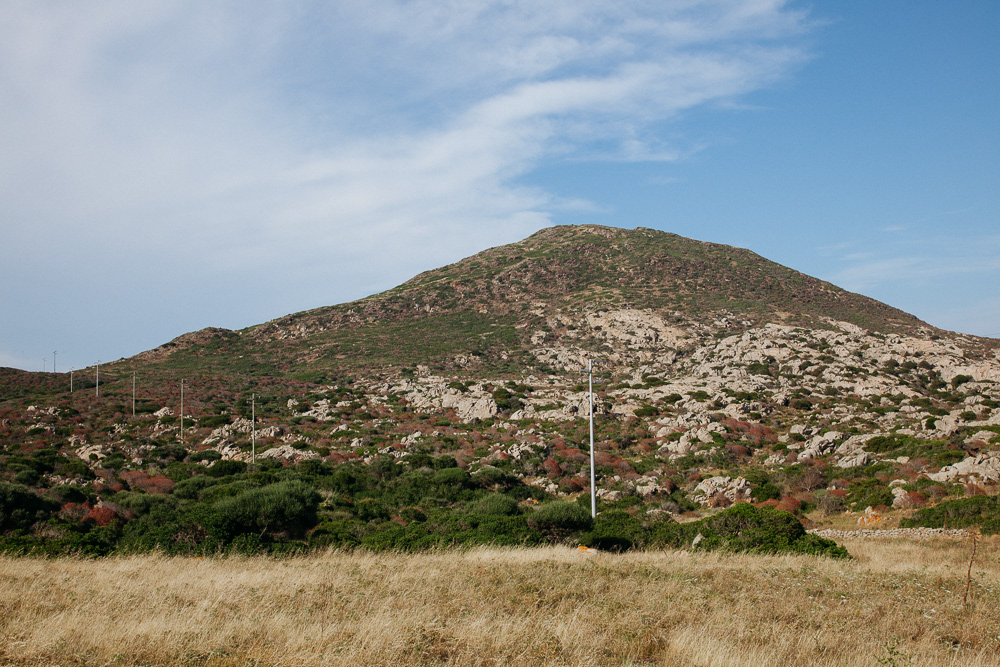 Isola dell'Asinara #20